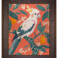 Lemon Grove Serenade - Cockatoo Amidst Citrus Blooms - Limited Edition Canvas