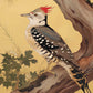 Echoes of the Forest - Woodpecker in Pine Haven - Limited Edition Canvas