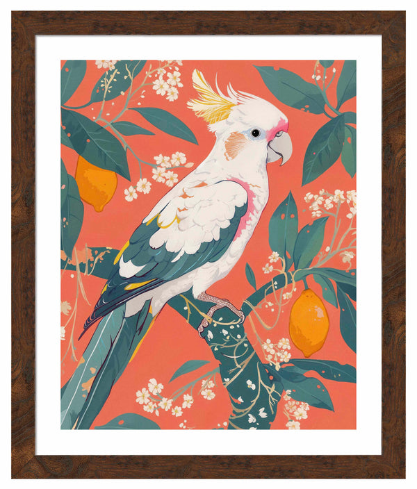Lemon Grove Serenade - Cockatoo Amidst Citrus Blooms - Art Prints