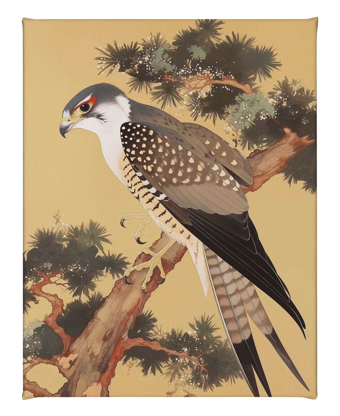 Graceful Sentinel - Falcon in Pine Grove - Gallery Wrapped Canvas