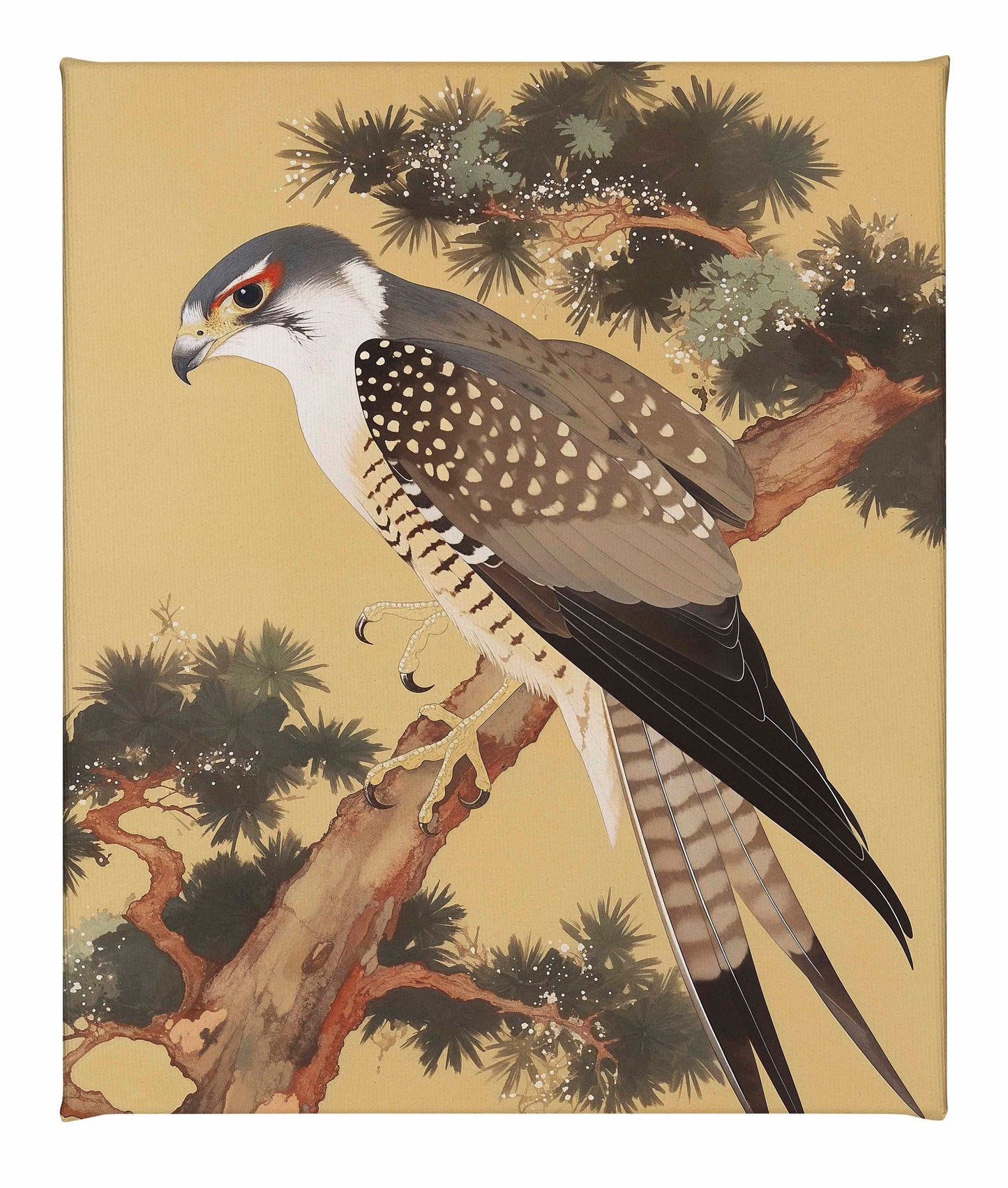 Graceful Sentinel - Falcon in Pine Grove - Gallery Wrapped Canvas