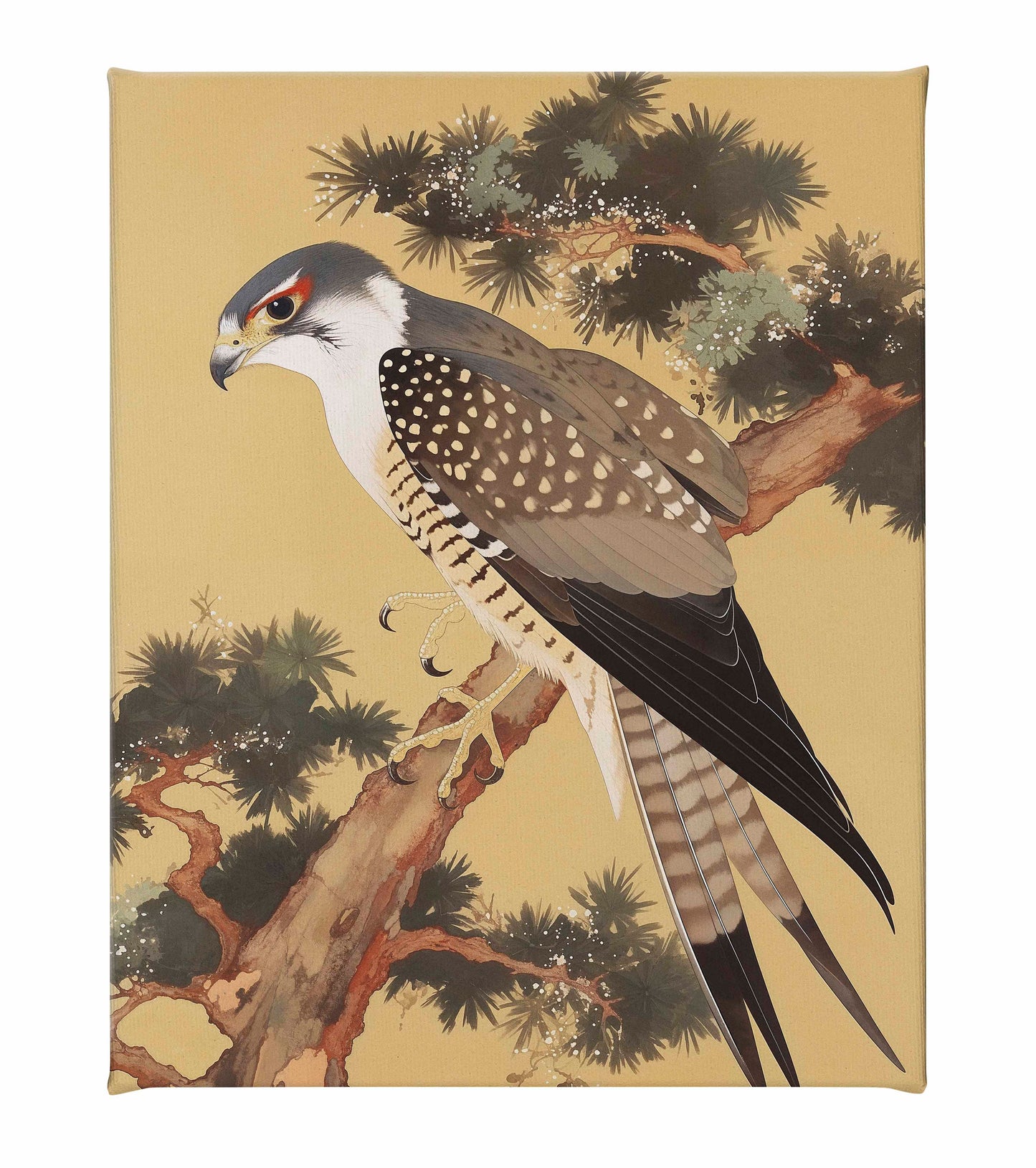 Graceful Sentinel - Falcon in Pine Grove - Gallery Wrapped Canvas