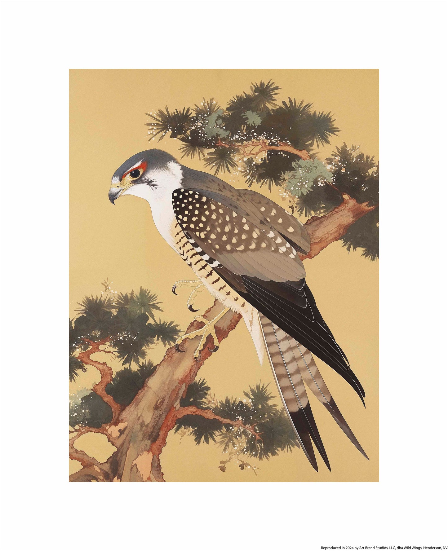 Graceful Sentinel - Falcon in Pine Grove - Art Prints