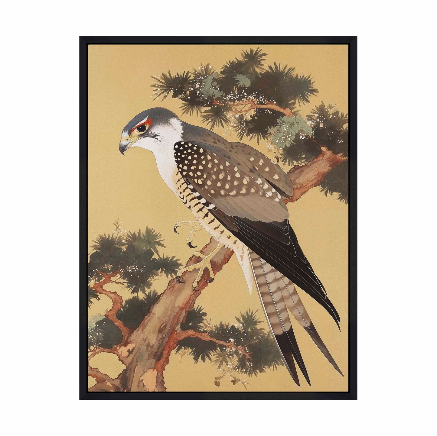 Graceful Sentinel - Falcon in Pine Grove - Gallery Wrapped Canvas
