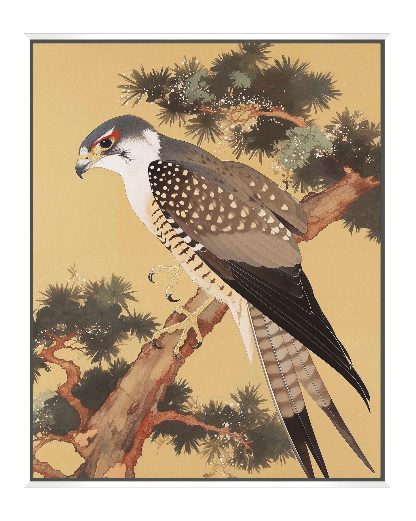 Graceful Sentinel - Falcon in Pine Grove - Gallery Wrapped Canvas