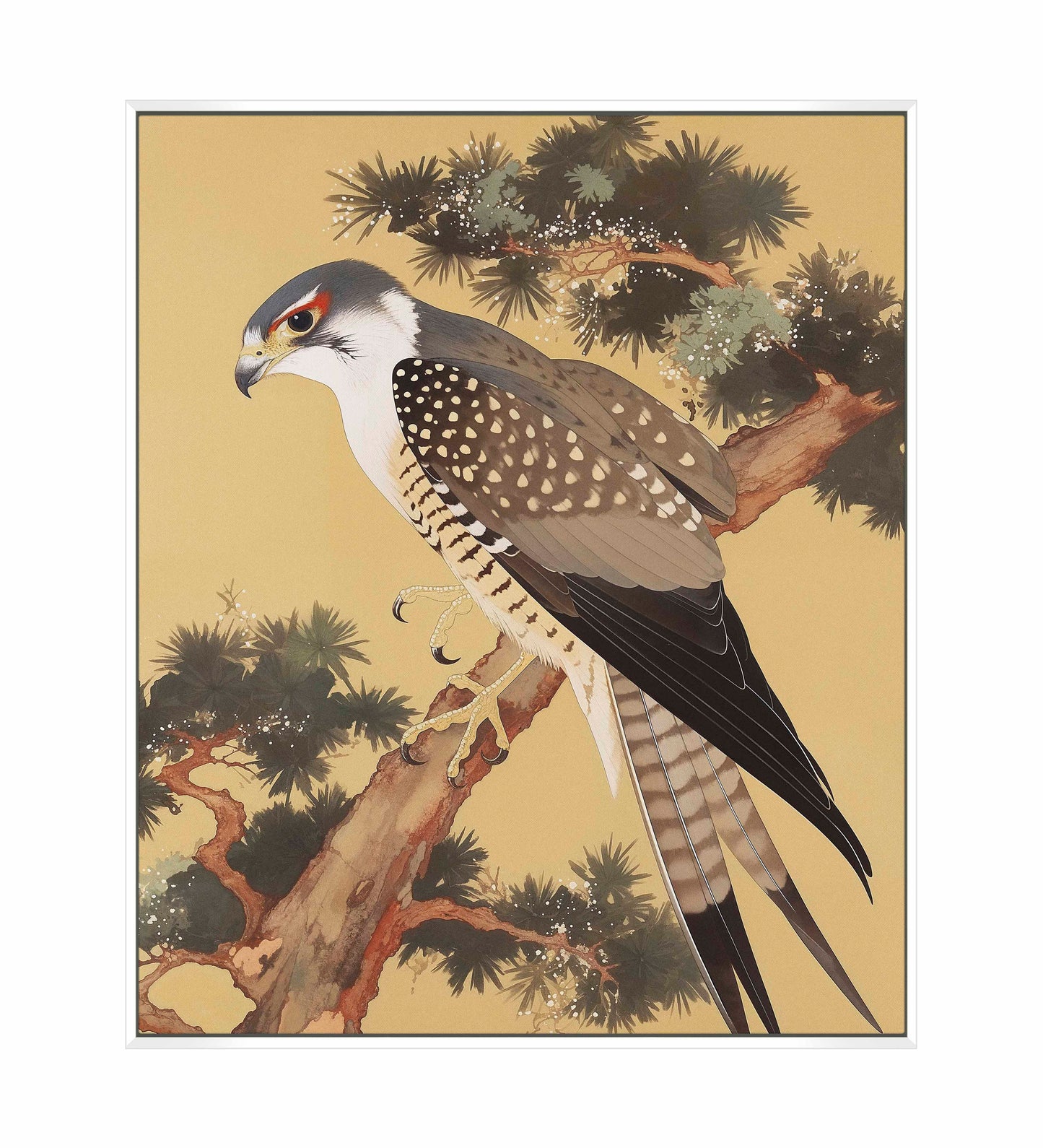 Graceful Sentinel - Falcon in Pine Grove - Gallery Wrapped Canvas