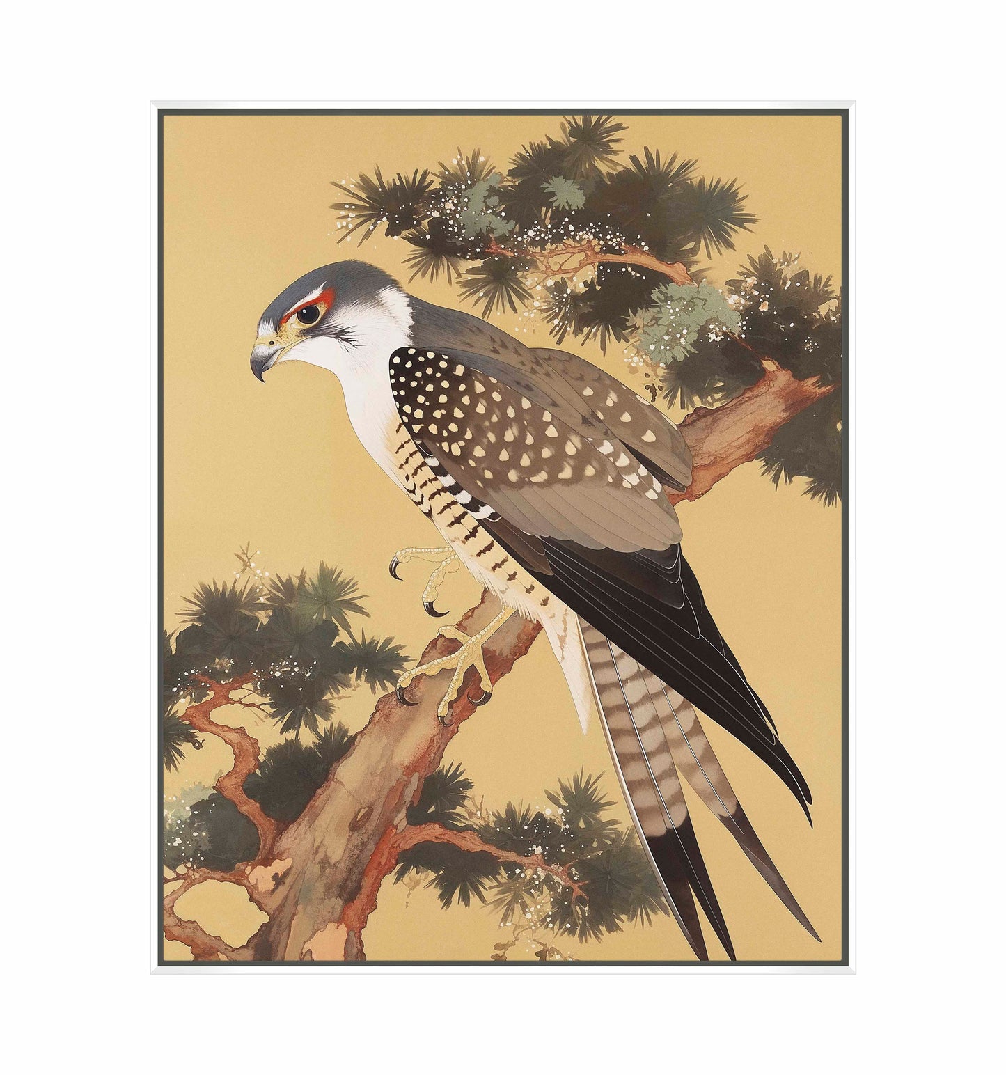 Graceful Sentinel - Falcon in Pine Grove - Gallery Wrapped Canvas