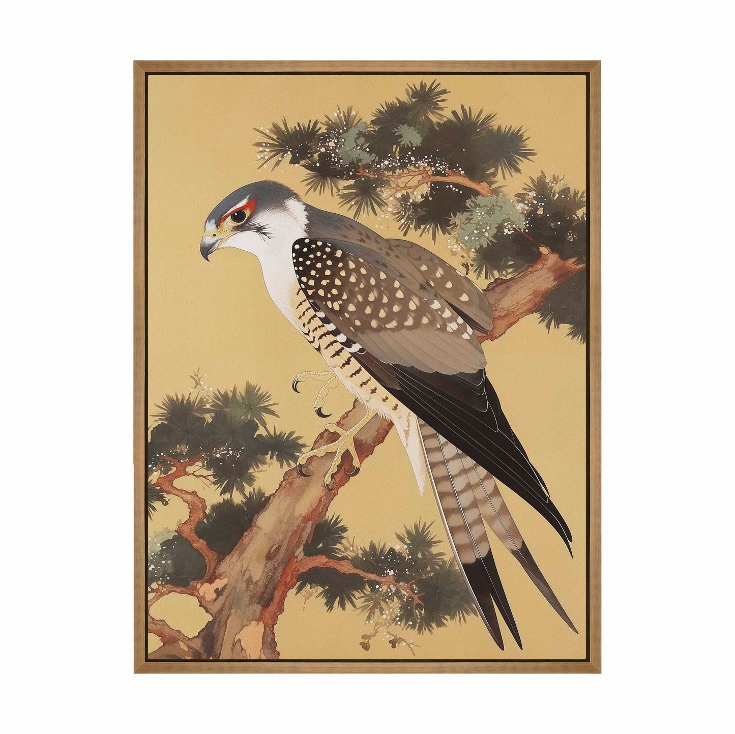 Graceful Sentinel - Falcon in Pine Grove - Gallery Wrapped Canvas