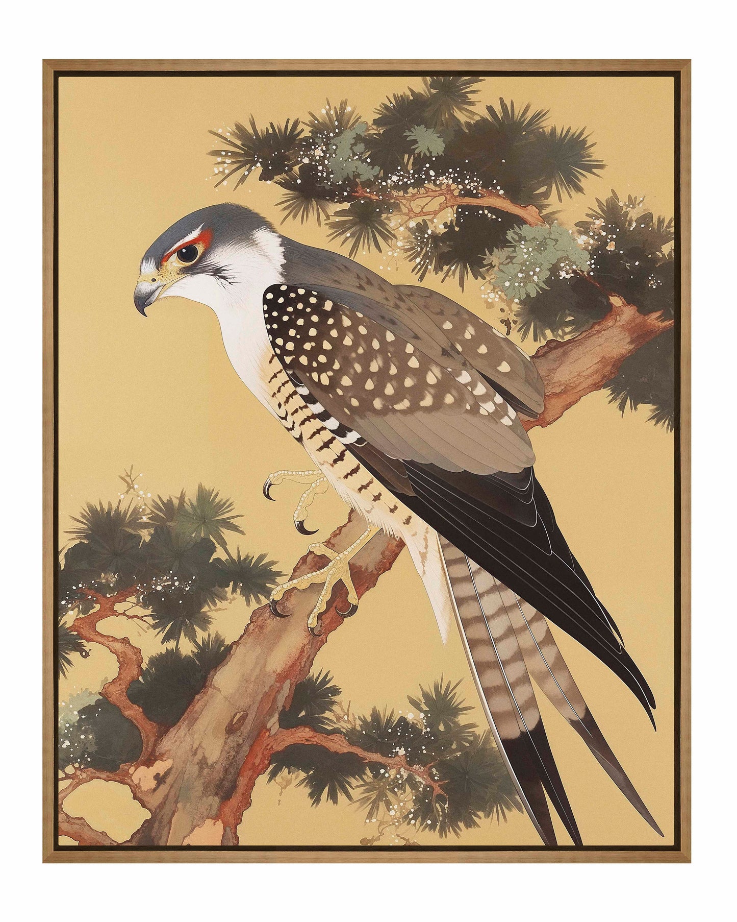 Graceful Sentinel - Falcon in Pine Grove - Gallery Wrapped Canvas