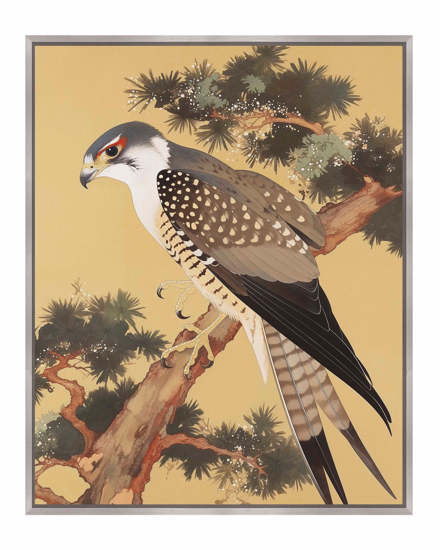 Graceful Sentinel - Falcon in Pine Grove - Gallery Wrapped Canvas