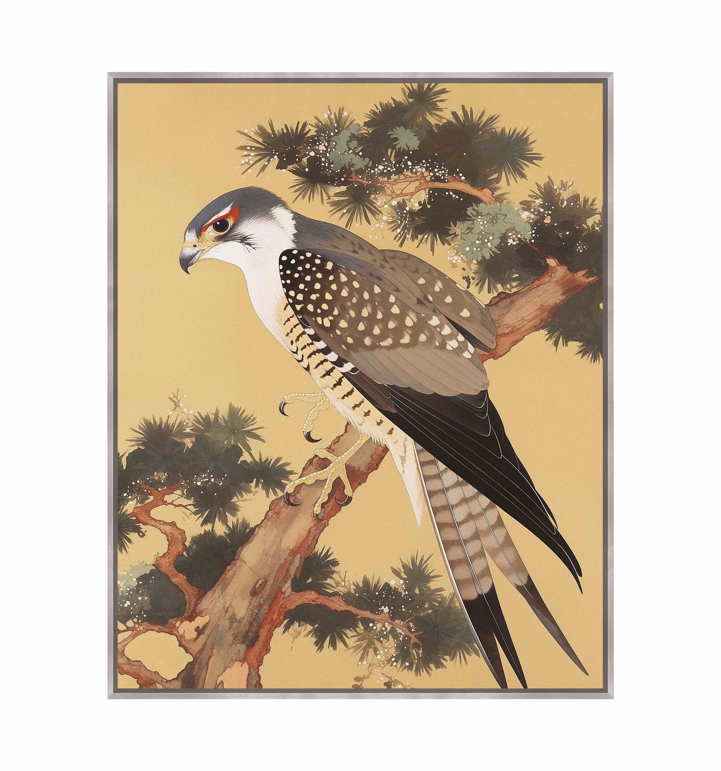 Graceful Sentinel - Falcon in Pine Grove - Gallery Wrapped Canvas