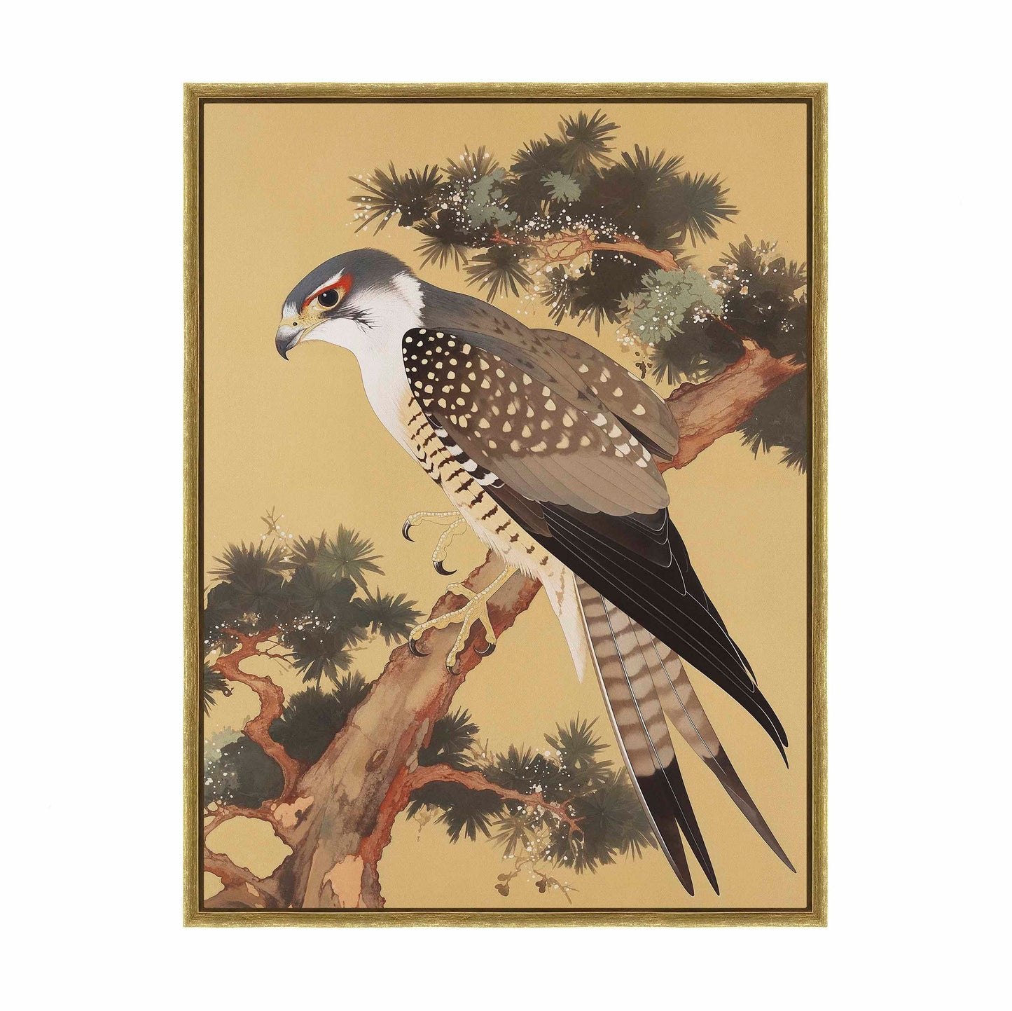 Graceful Sentinel - Falcon in Pine Grove - Gallery Wrapped Canvas