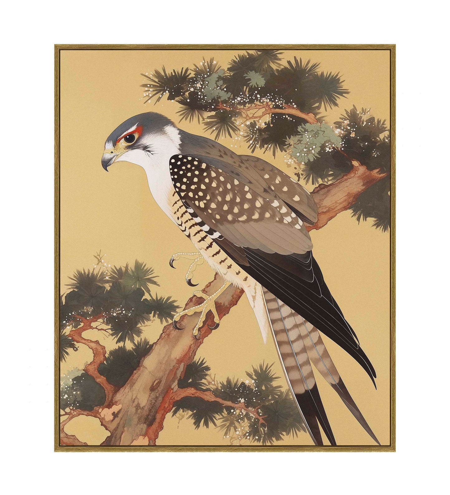 Graceful Sentinel - Falcon in Pine Grove - Gallery Wrapped Canvas