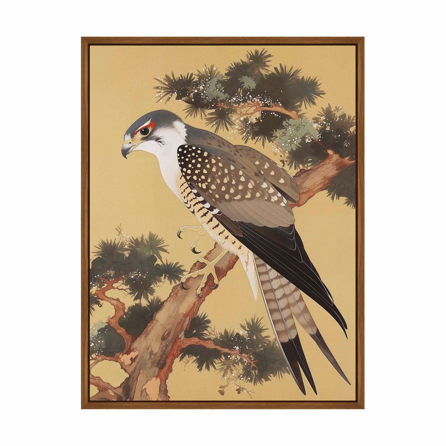 Graceful Sentinel - Falcon in Pine Grove - Gallery Wrapped Canvas