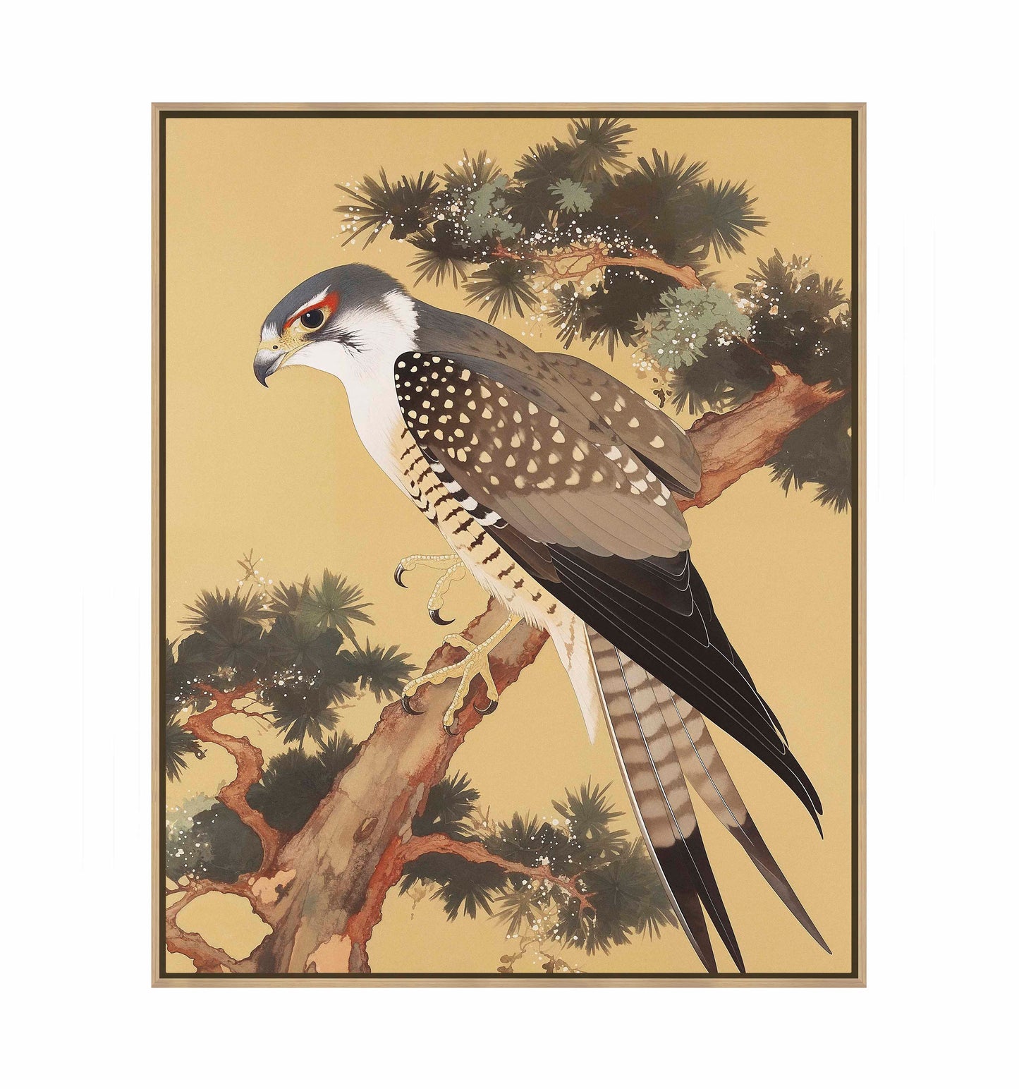Graceful Sentinel - Falcon in Pine Grove - Gallery Wrapped Canvas