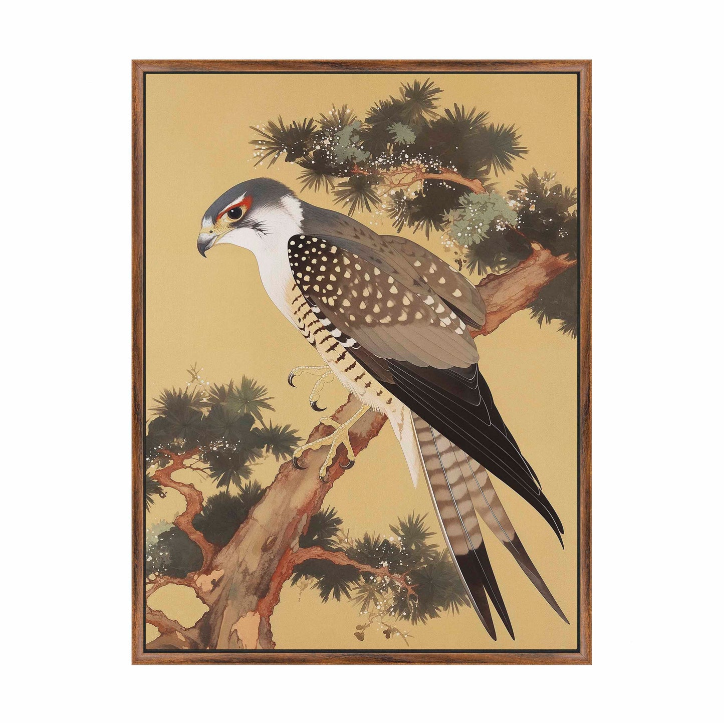 Graceful Sentinel - Falcon in Pine Grove - Gallery Wrapped Canvas