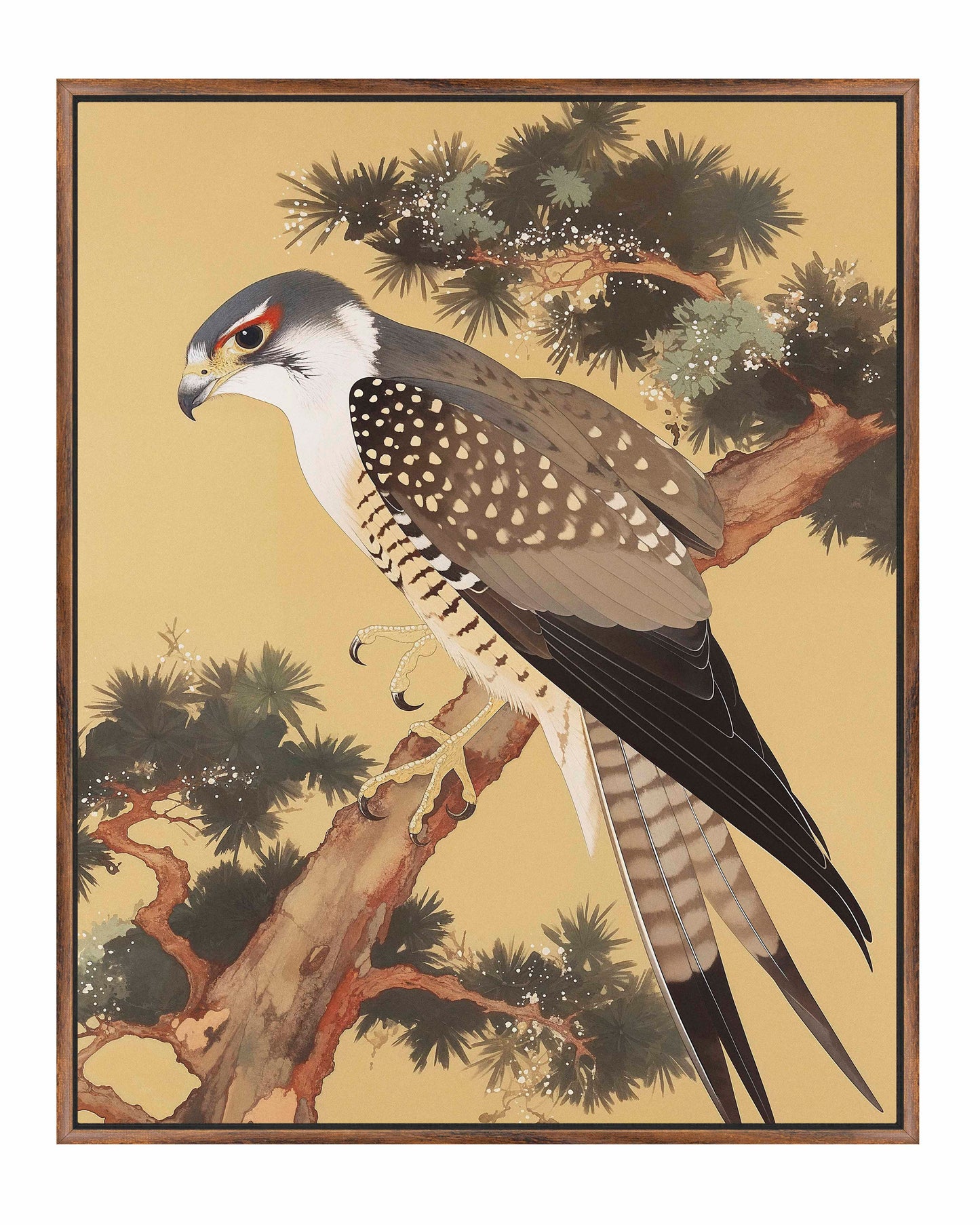 Graceful Sentinel - Falcon in Pine Grove - Gallery Wrapped Canvas