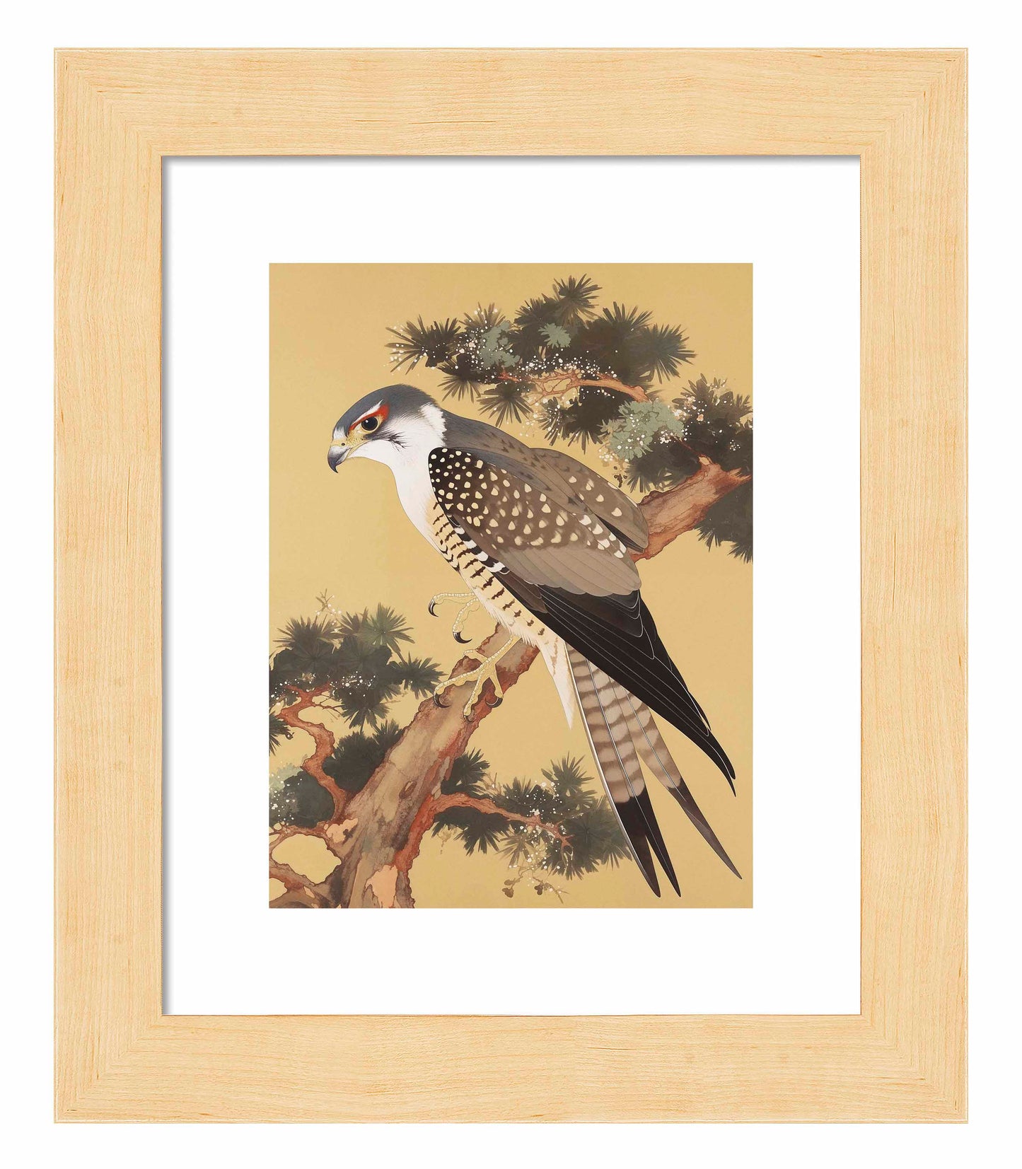 Graceful Sentinel - Falcon in Pine Grove - Art Prints