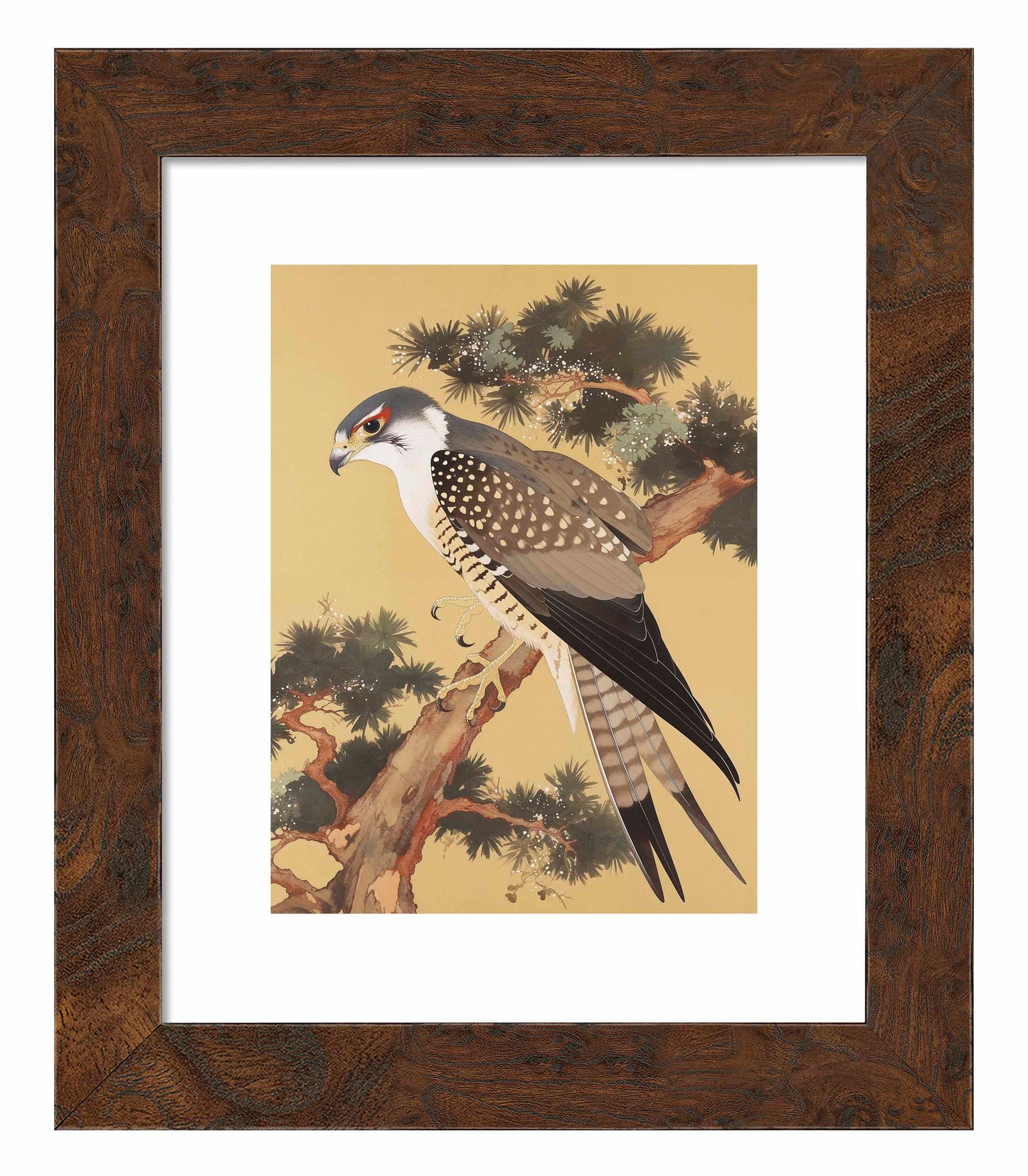 Graceful Sentinel - Falcon in Pine Grove - Art Prints