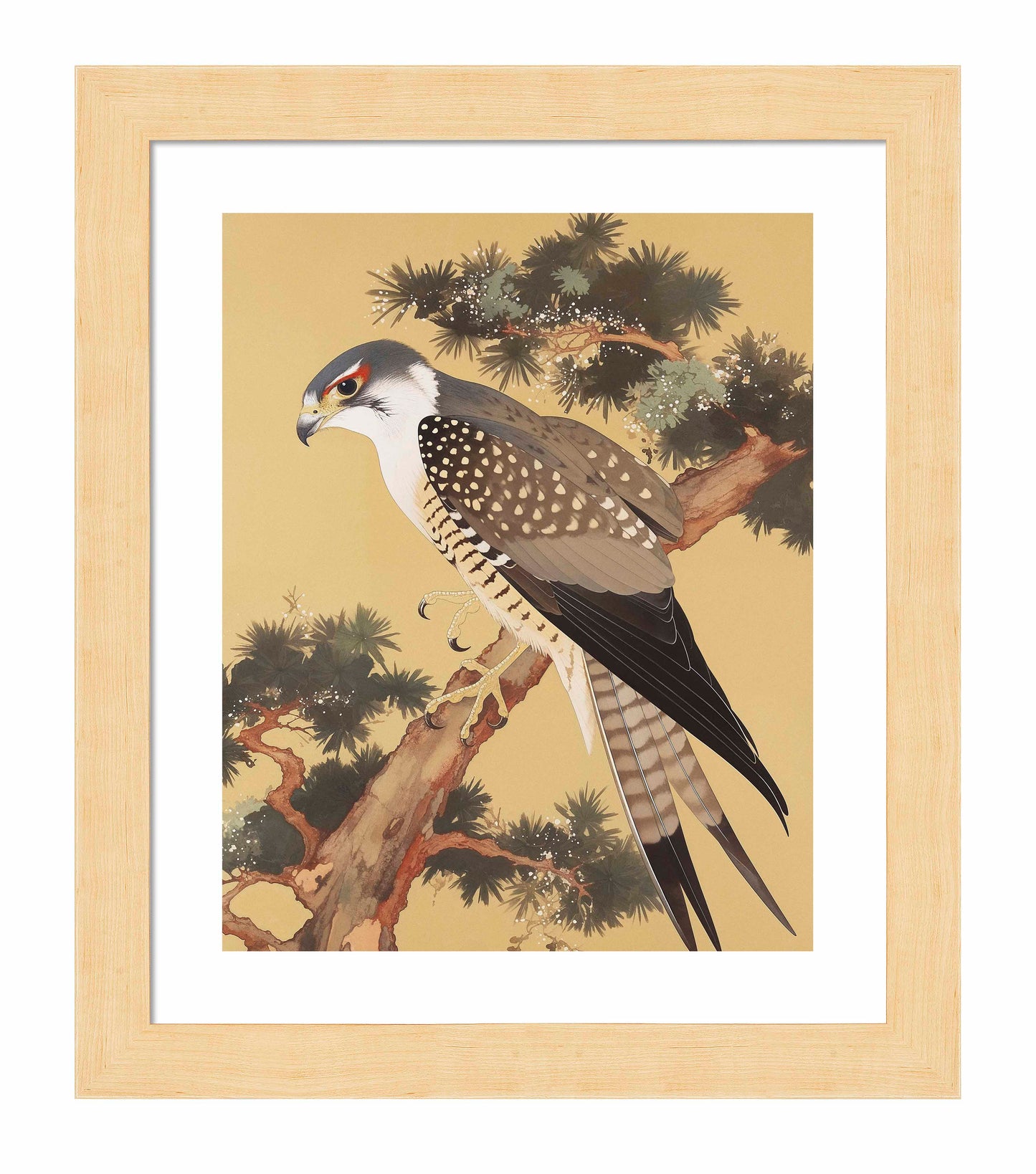 Graceful Sentinel - Falcon in Pine Grove - Art Prints