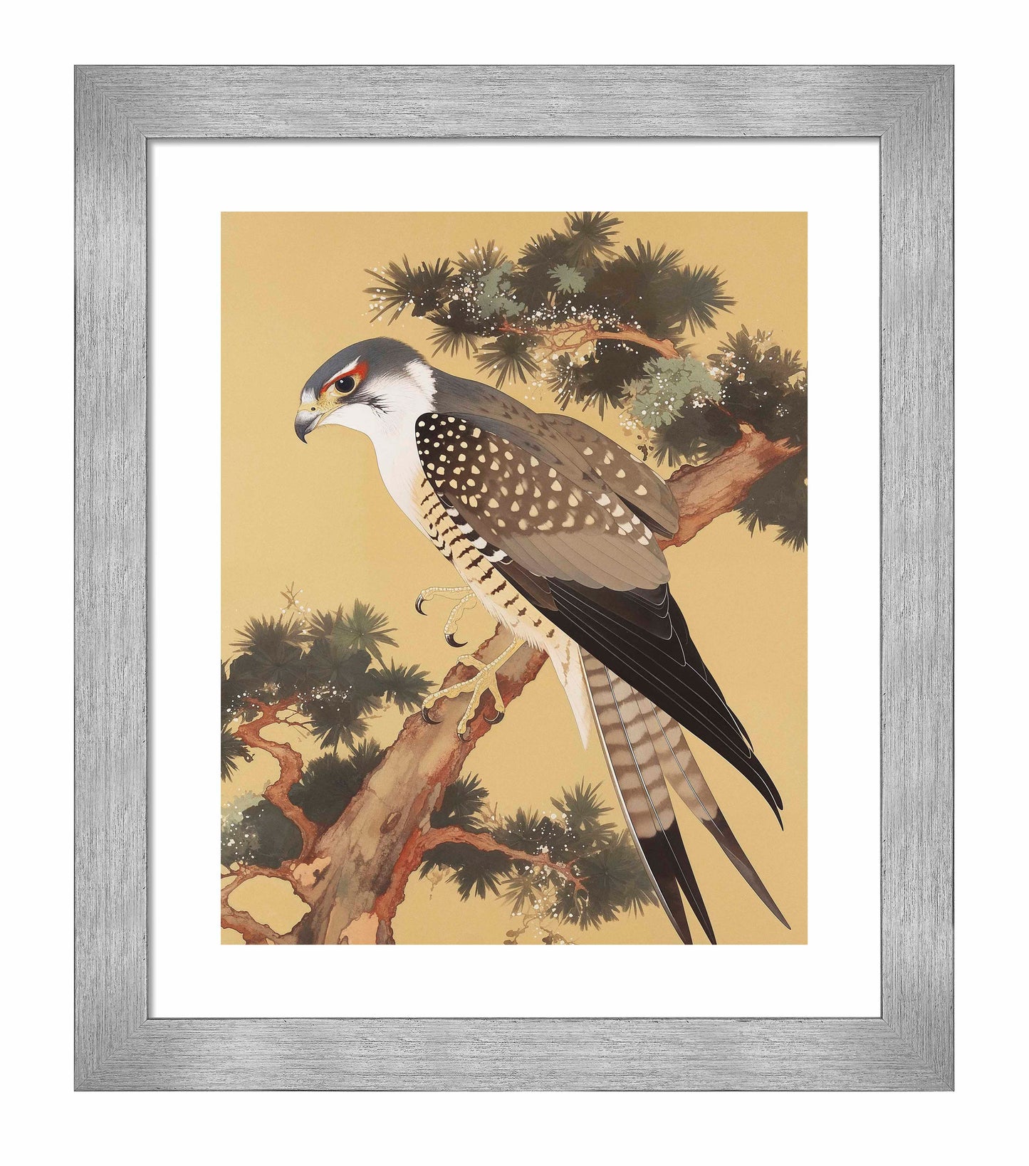 Graceful Sentinel - Falcon in Pine Grove - Art Prints