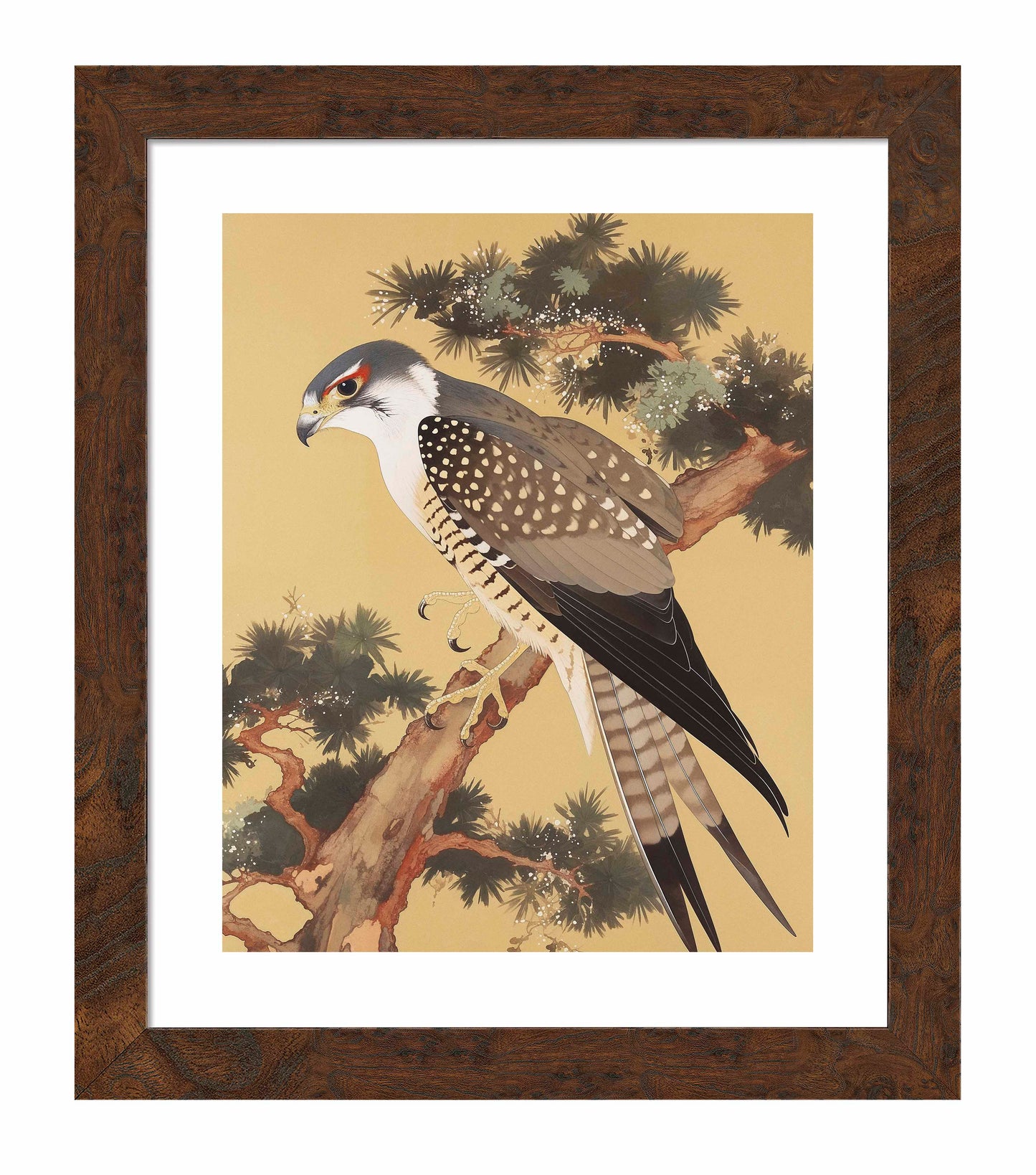 Graceful Sentinel - Falcon in Pine Grove - Art Prints