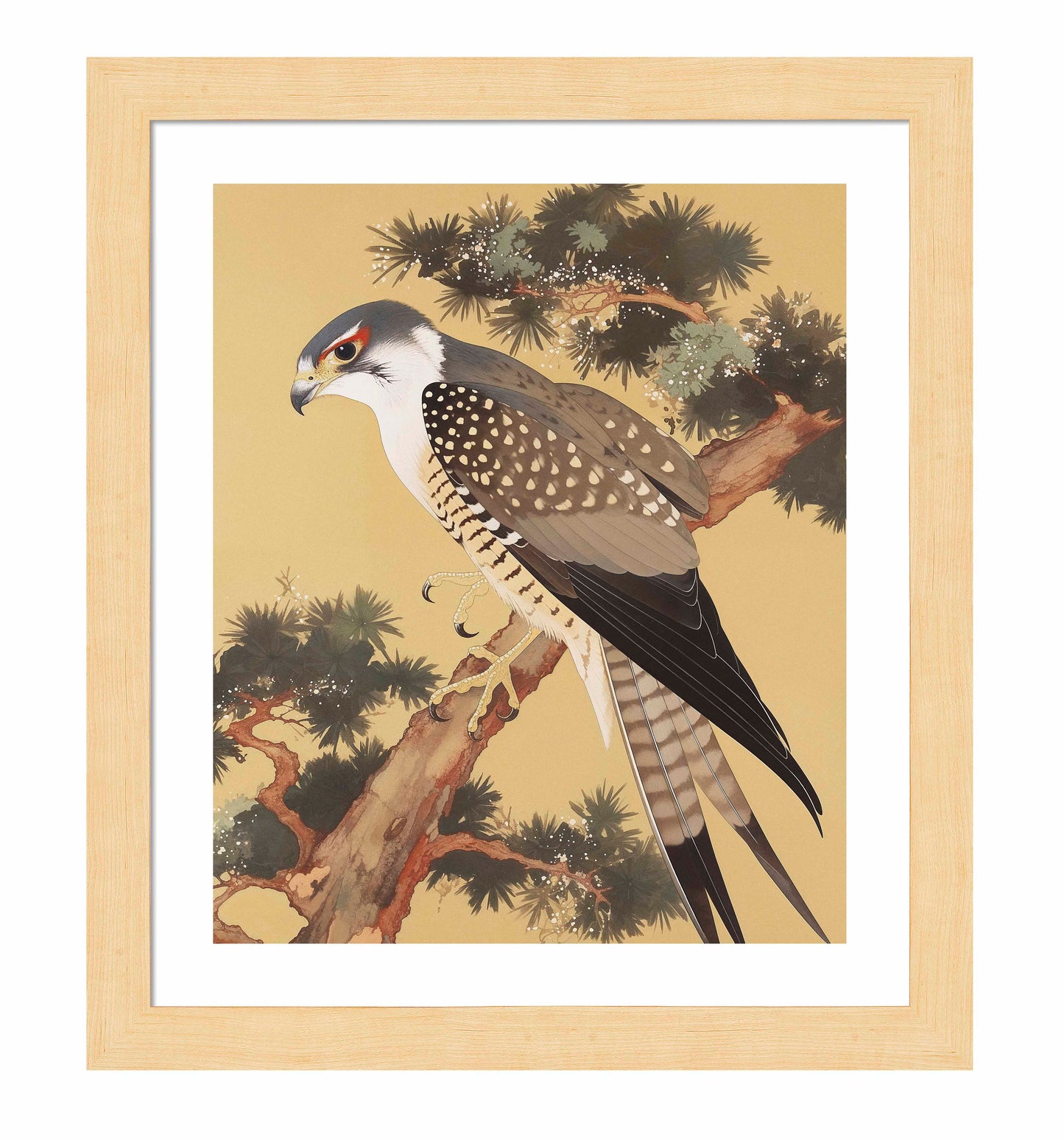 Graceful Sentinel - Falcon in Pine Grove - Art Prints
