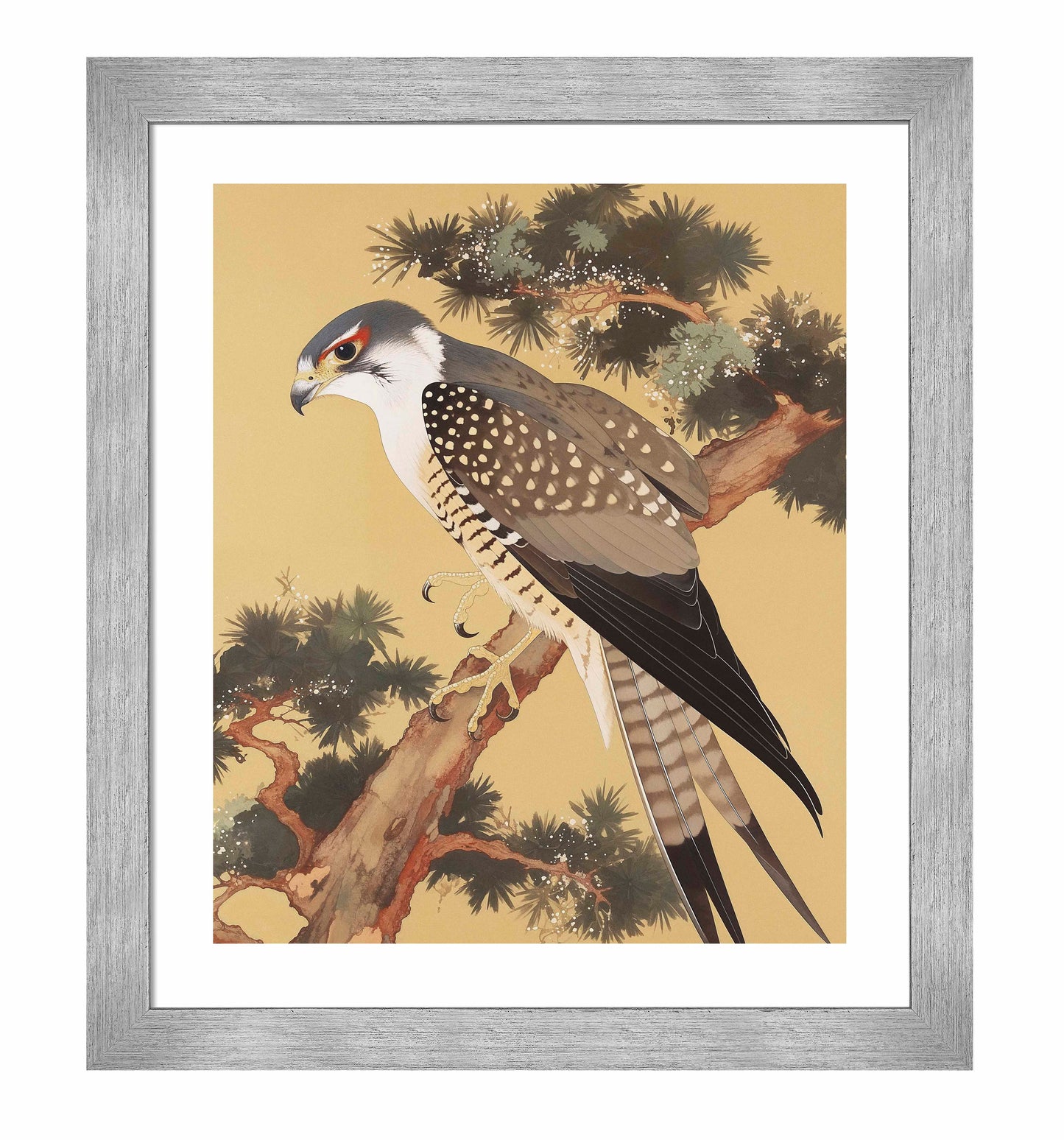 Graceful Sentinel - Falcon in Pine Grove - Art Prints