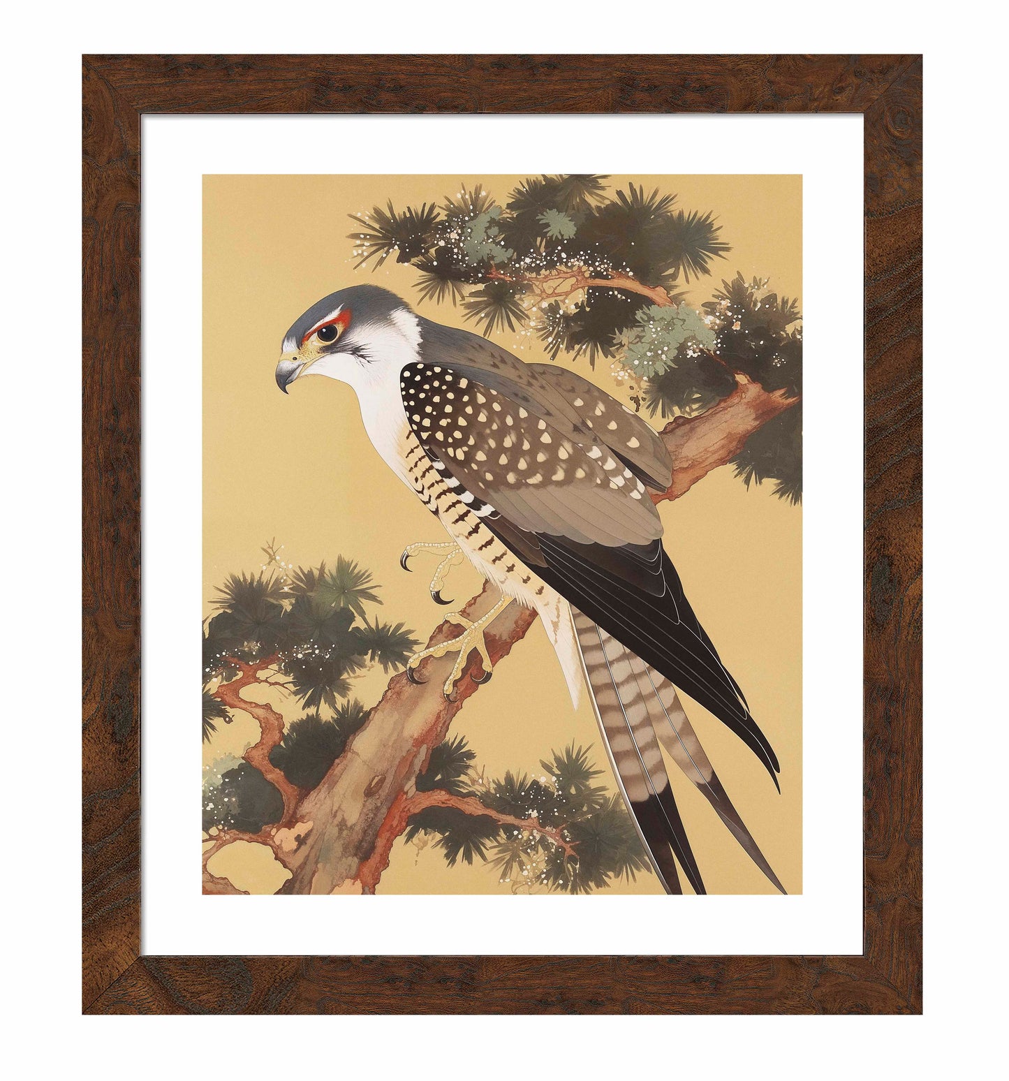 Graceful Sentinel - Falcon in Pine Grove - Art Prints