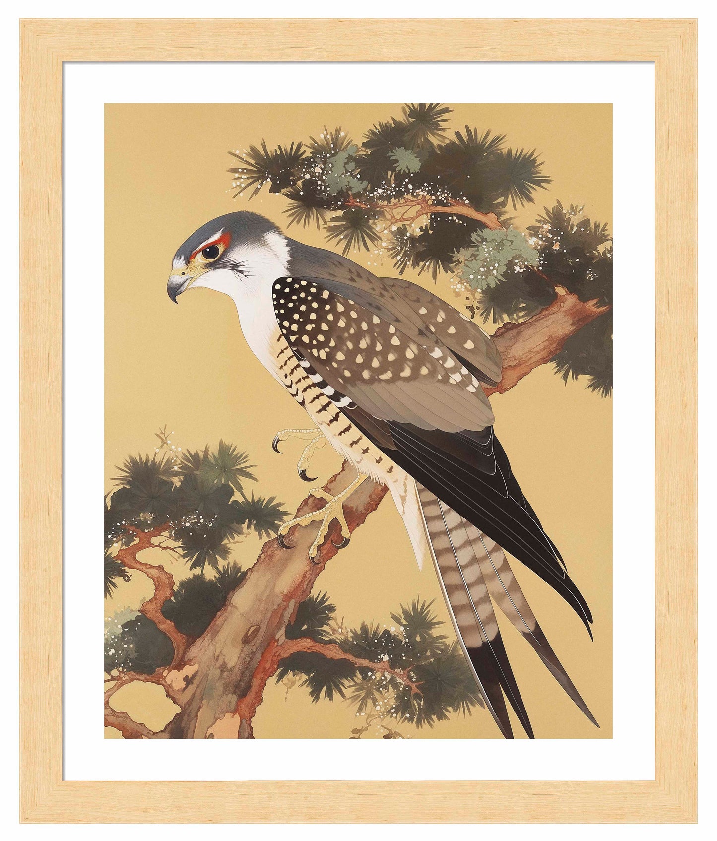 Graceful Sentinel - Falcon in Pine Grove - Art Prints