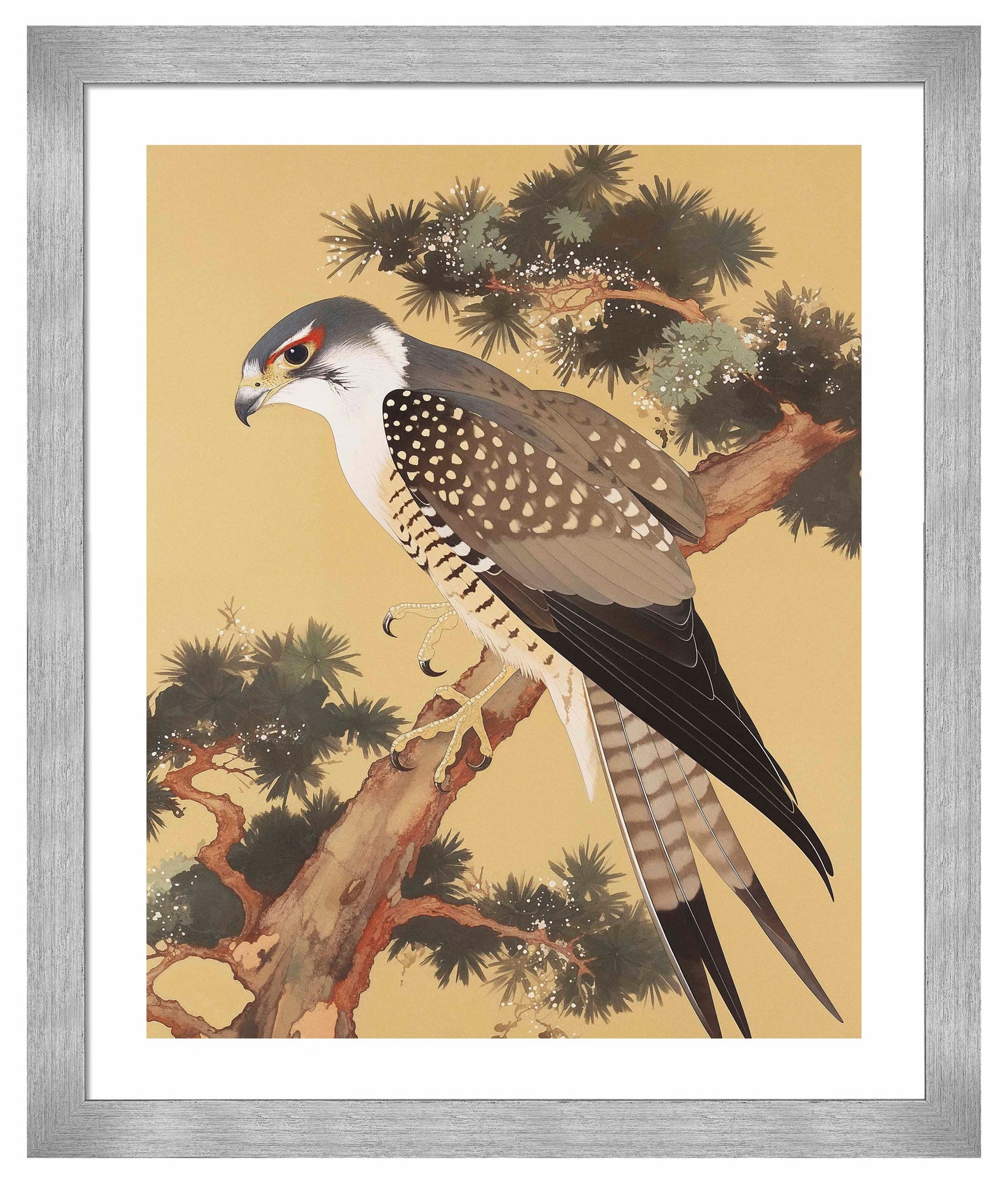 Graceful Sentinel - Falcon in Pine Grove - Art Prints