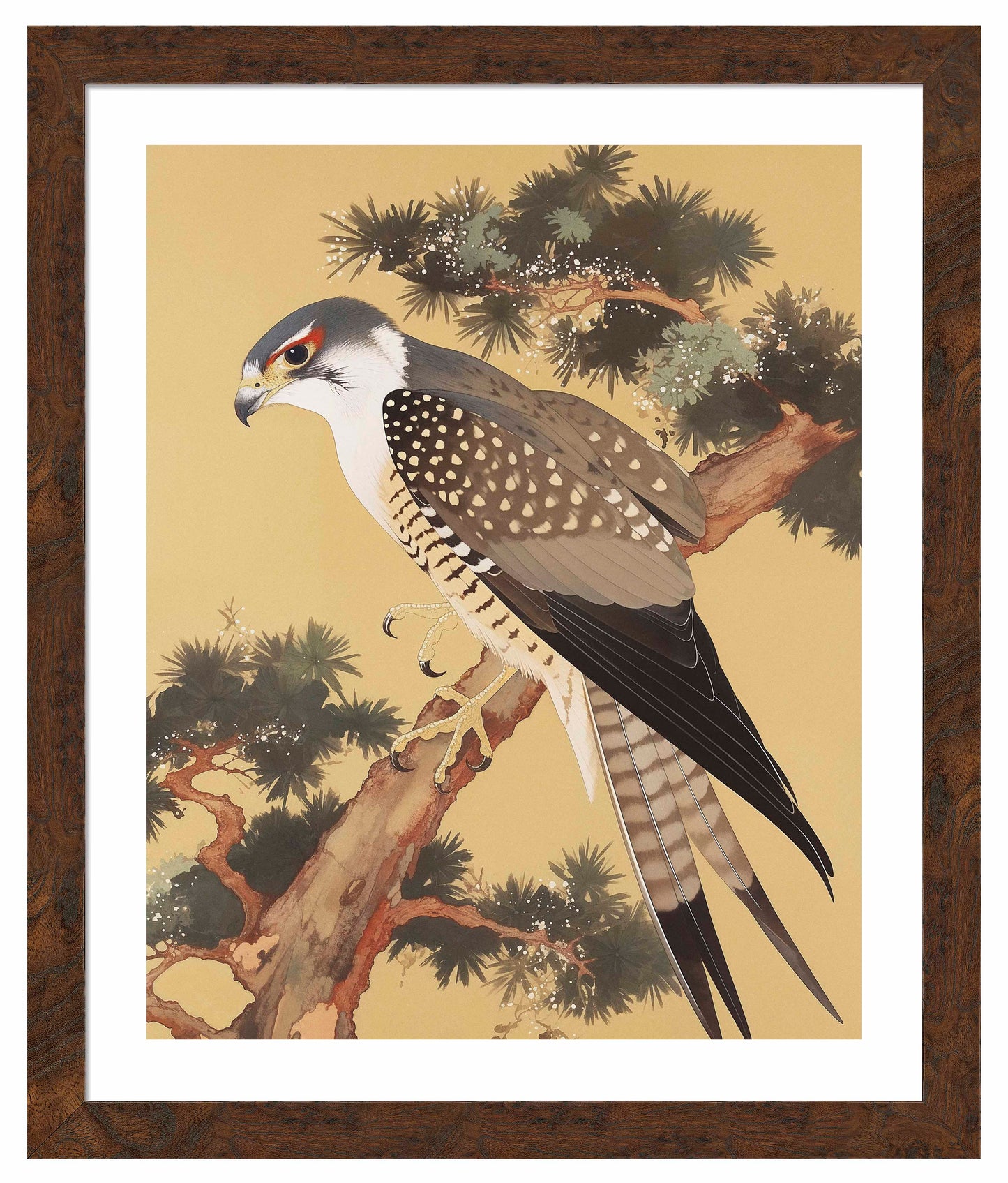 Graceful Sentinel - Falcon in Pine Grove - Art Prints