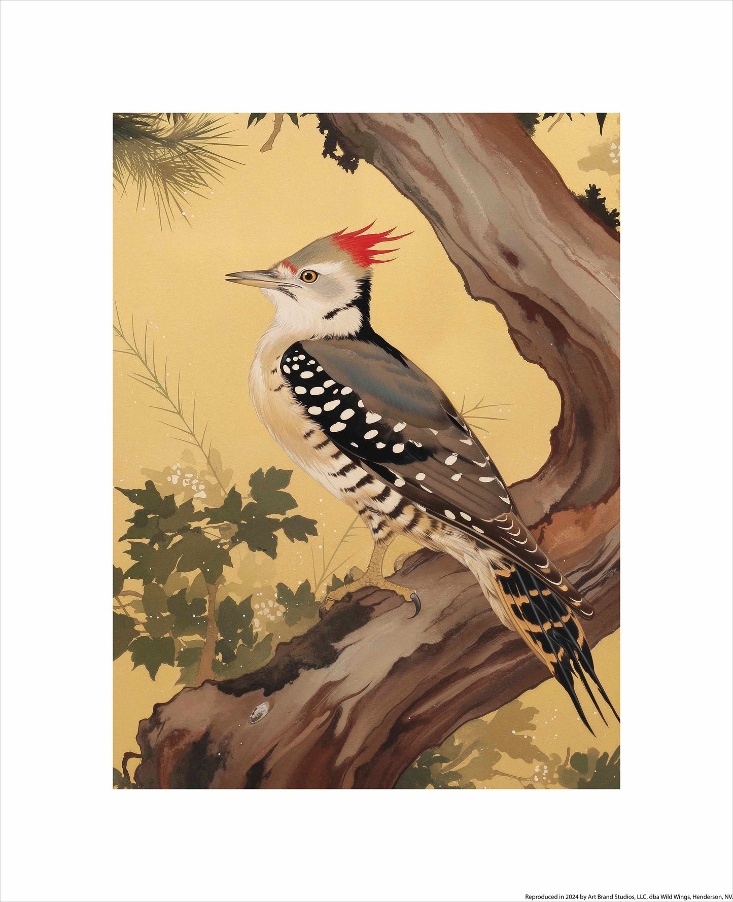 Echoes of the Forest - Woodpecker in Pine Haven - Art Prints