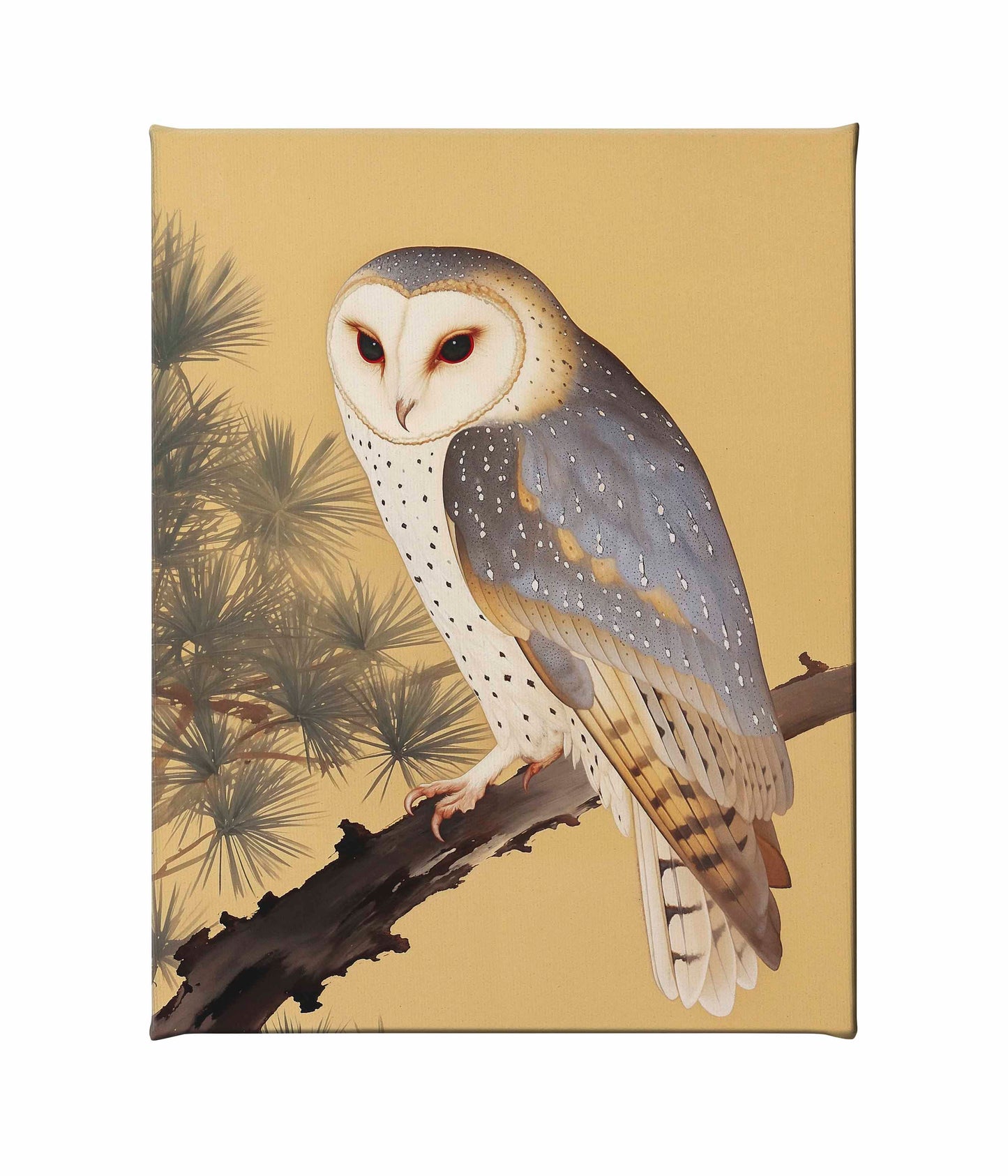 Nocturnal Whisper - Barn Owl in Pine Glade - Gallery Wrapped Canvas