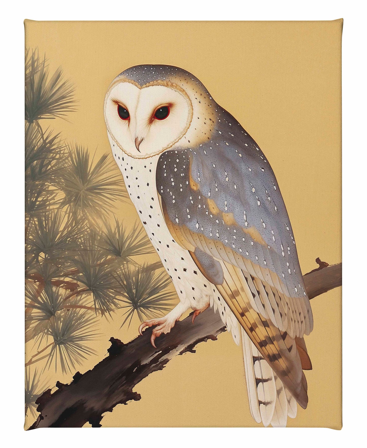 Nocturnal Whisper - Barn Owl in Pine Glade - Gallery Wrapped Canvas