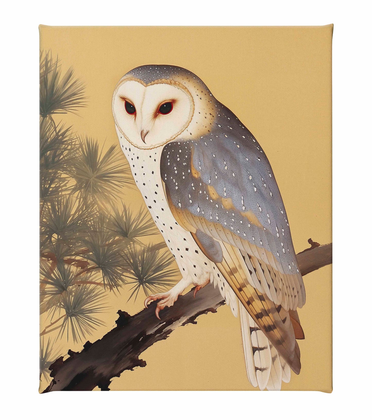 Nocturnal Whisper - Barn Owl in Pine Glade - Gallery Wrapped Canvas