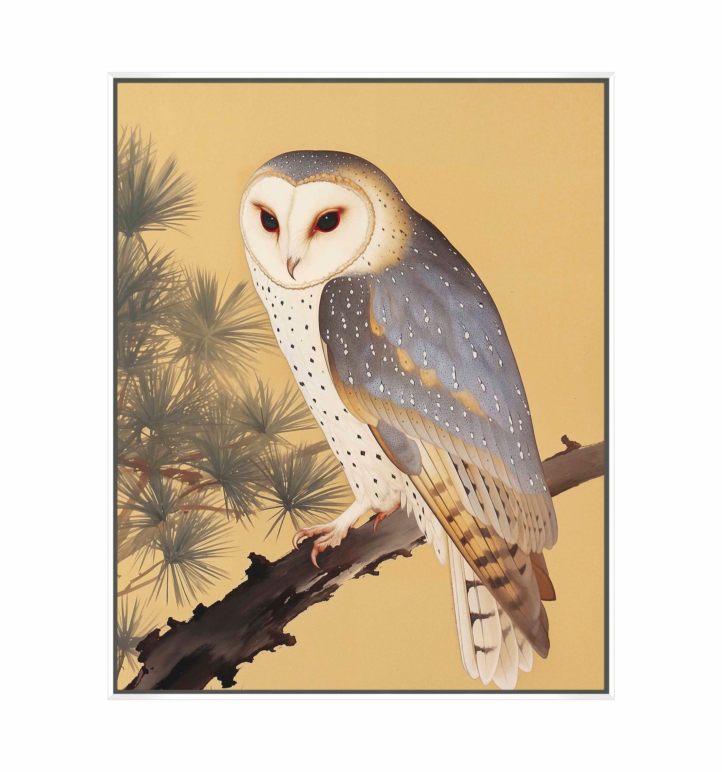 Nocturnal Whisper - Barn Owl in Pine Glade - Gallery Wrapped Canvas