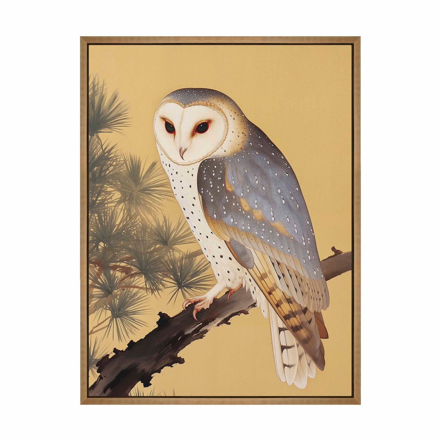 Nocturnal Whisper - Barn Owl in Pine Glade - Gallery Wrapped Canvas