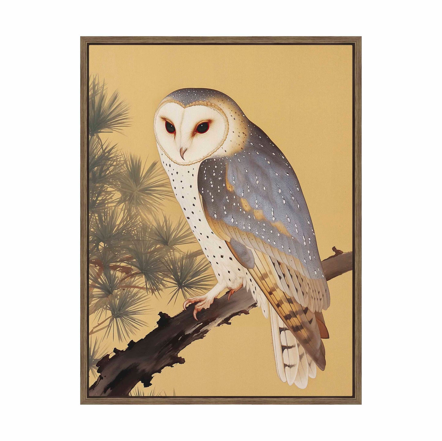 Nocturnal Whisper - Barn Owl in Pine Glade - Gallery Wrapped Canvas