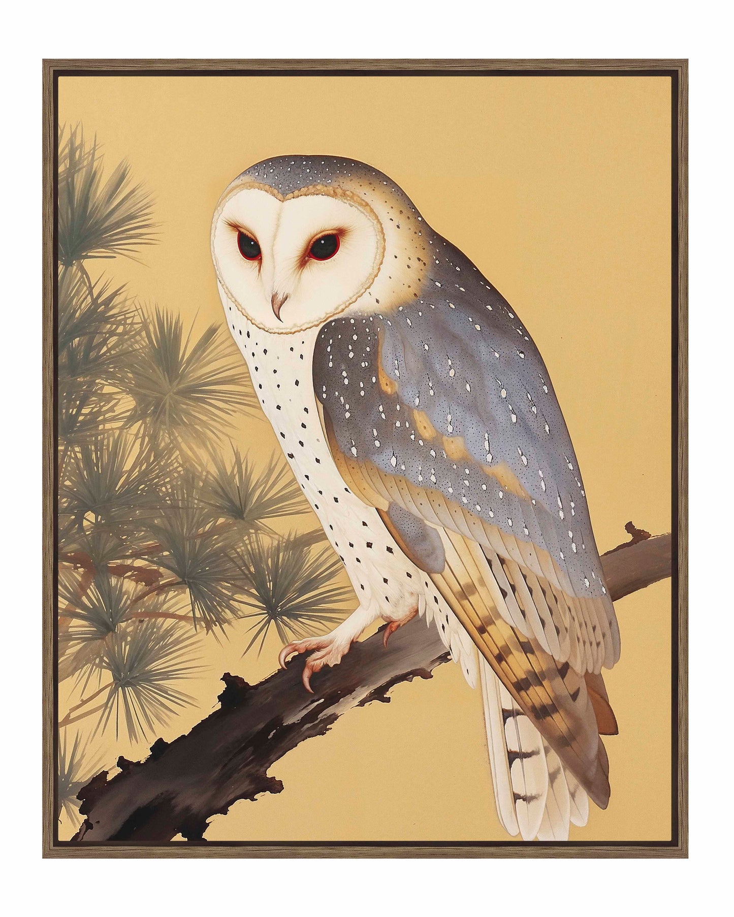 Nocturnal Whisper - Barn Owl in Pine Glade - Gallery Wrapped Canvas