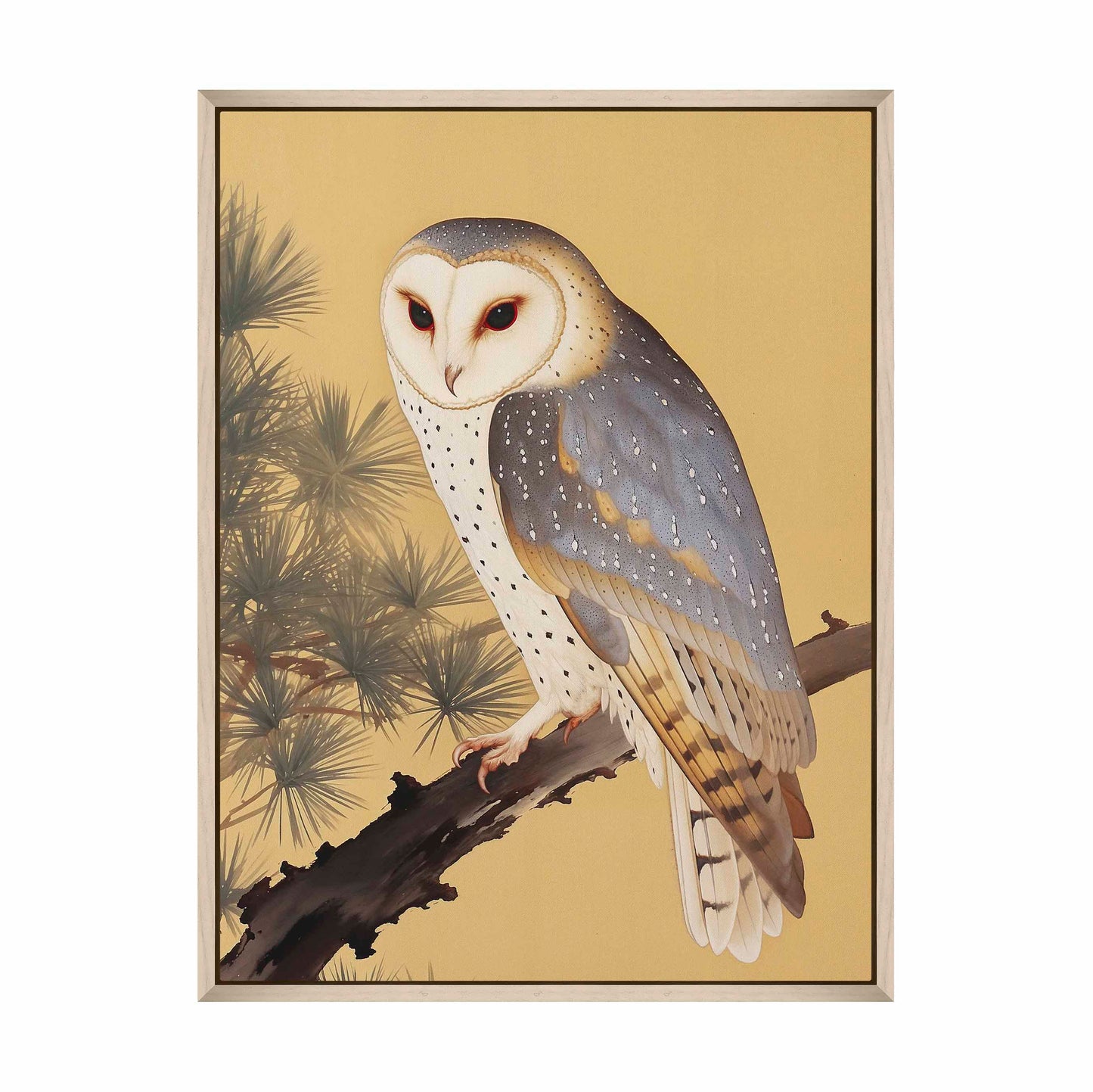 Nocturnal Whisper - Barn Owl in Pine Glade - Gallery Wrapped Canvas