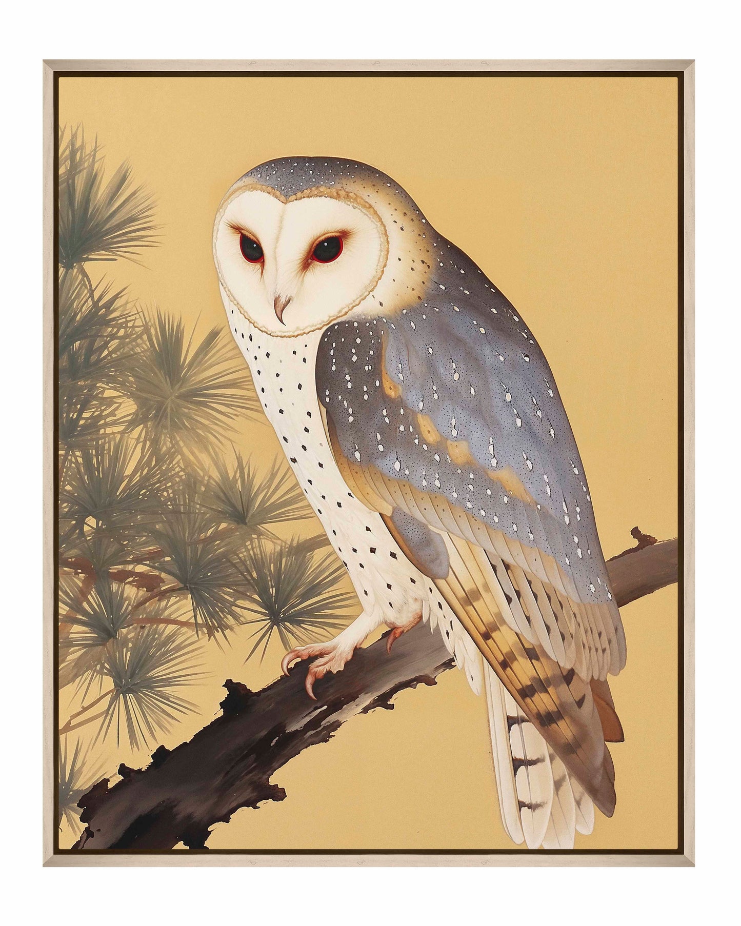 Nocturnal Whisper - Barn Owl in Pine Glade - Gallery Wrapped Canvas
