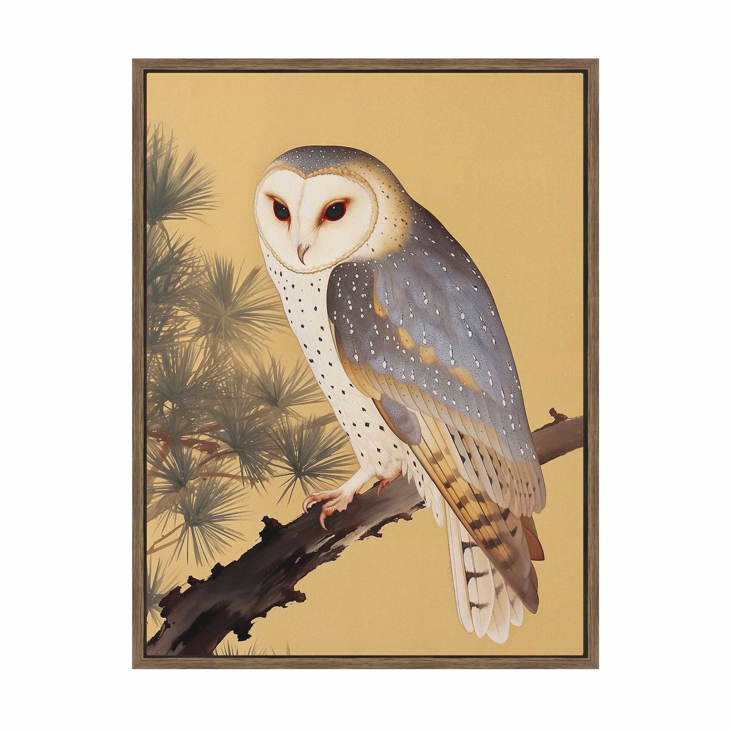 Nocturnal Whisper - Barn Owl in Pine Glade - Gallery Wrapped Canvas