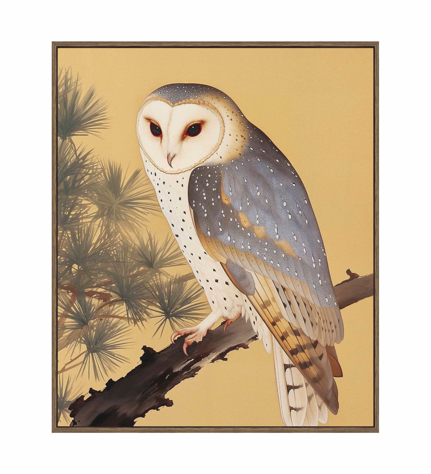 Nocturnal Whisper - Barn Owl in Pine Glade - Gallery Wrapped Canvas