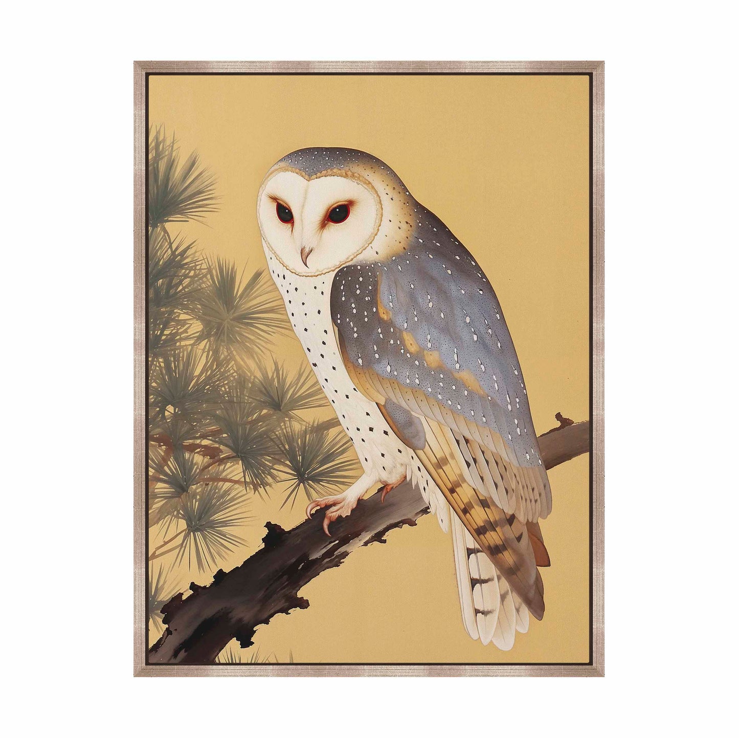 Nocturnal Whisper - Barn Owl in Pine Glade - Gallery Wrapped Canvas