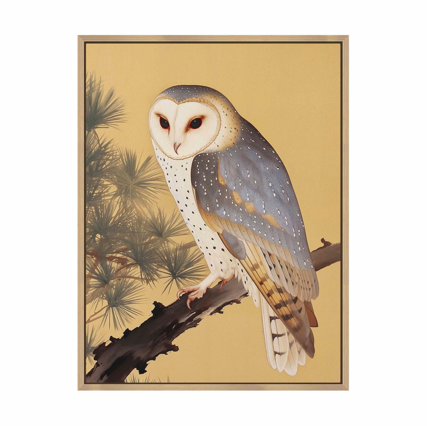 Nocturnal Whisper - Barn Owl in Pine Glade - Gallery Wrapped Canvas