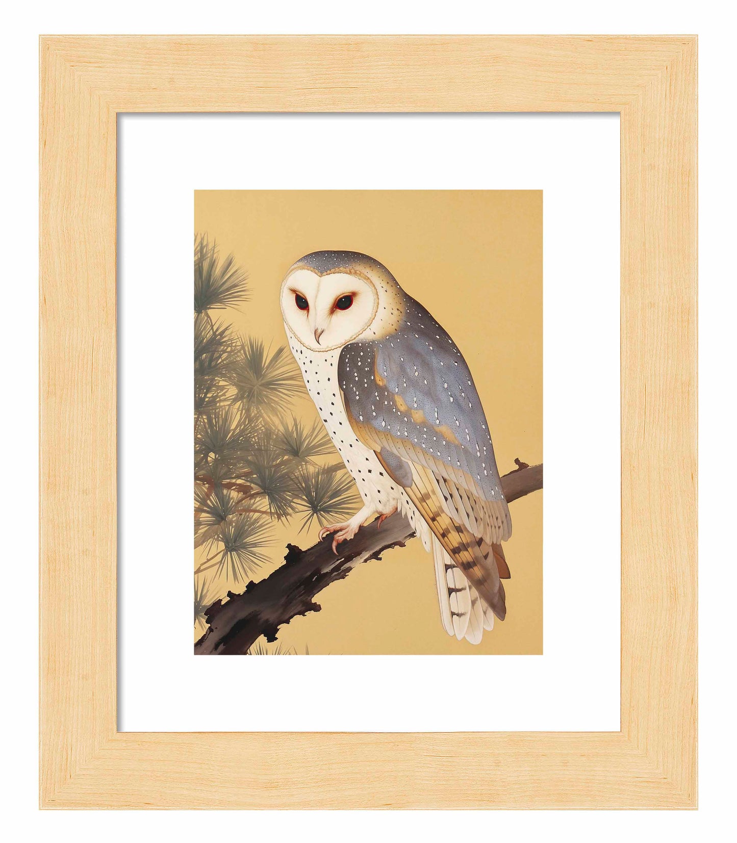 Nocturnal Whisper - Barn Owl in Pine Glade - Art Prints