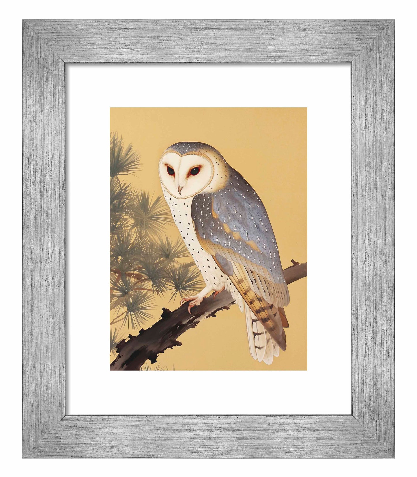 Nocturnal Whisper - Barn Owl in Pine Glade - Art Prints