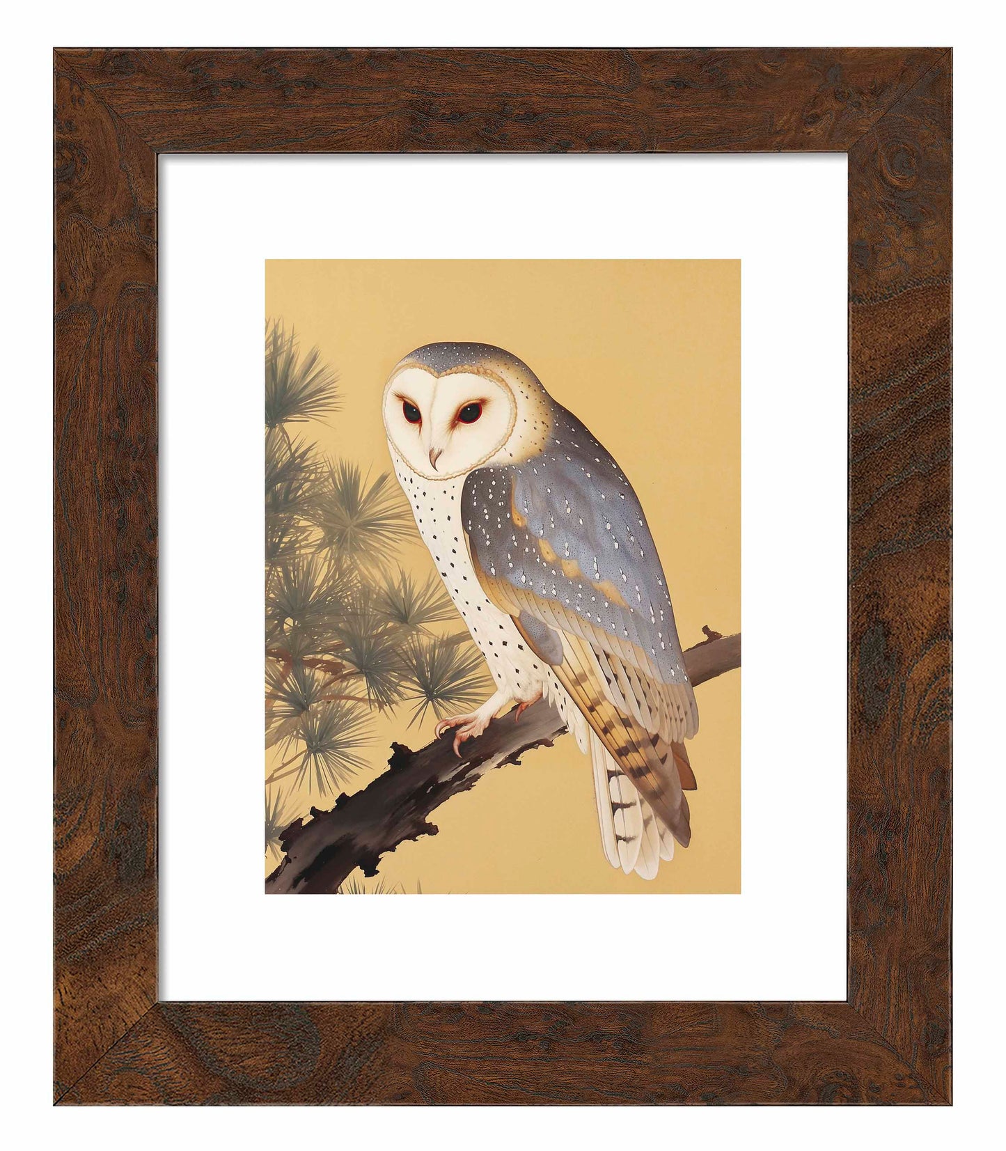 Nocturnal Whisper - Barn Owl in Pine Glade - Art Prints