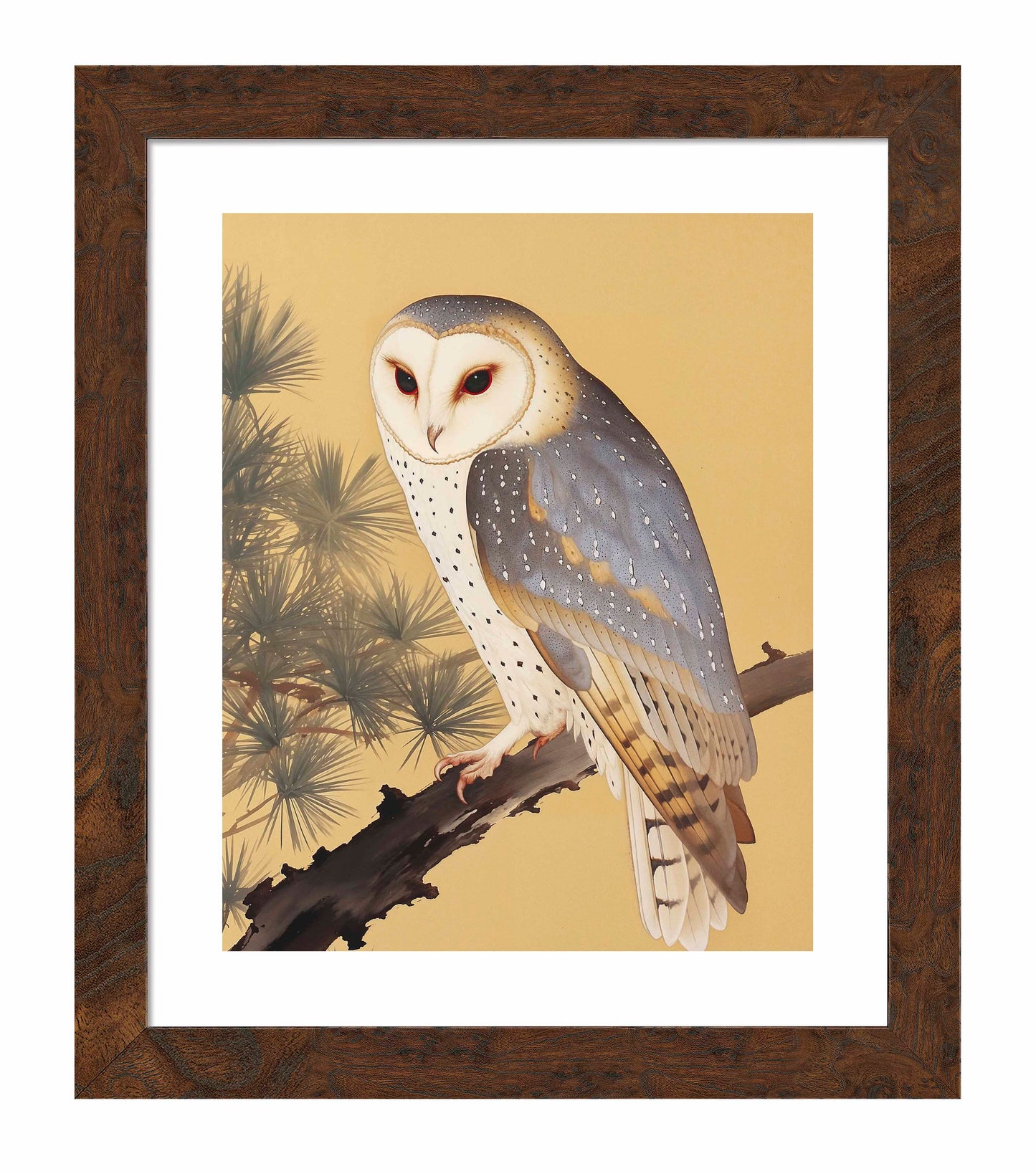 Nocturnal Whisper - Barn Owl in Pine Glade - Art Prints